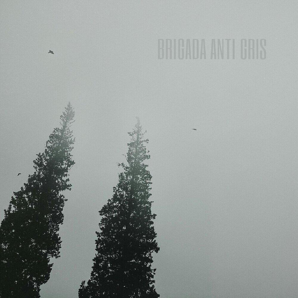 Brigada Anti Gris