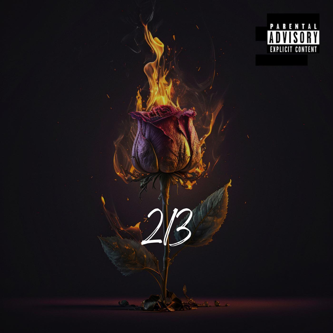 Da Hustler 213