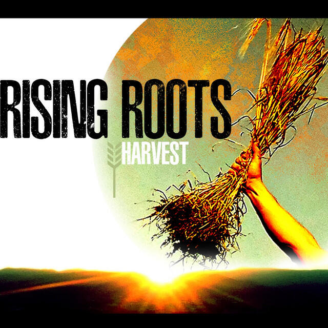 Релиз Harvest