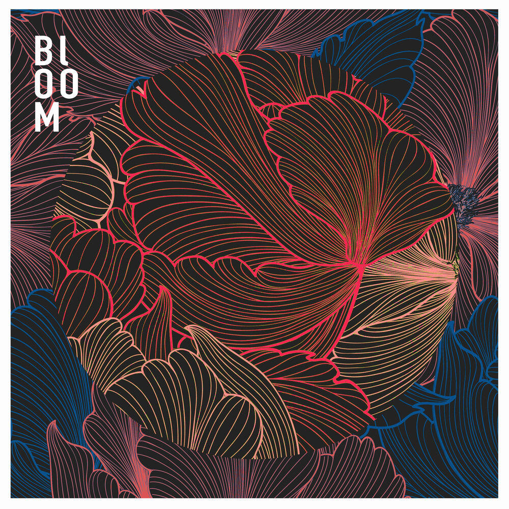 Релиз Bloom