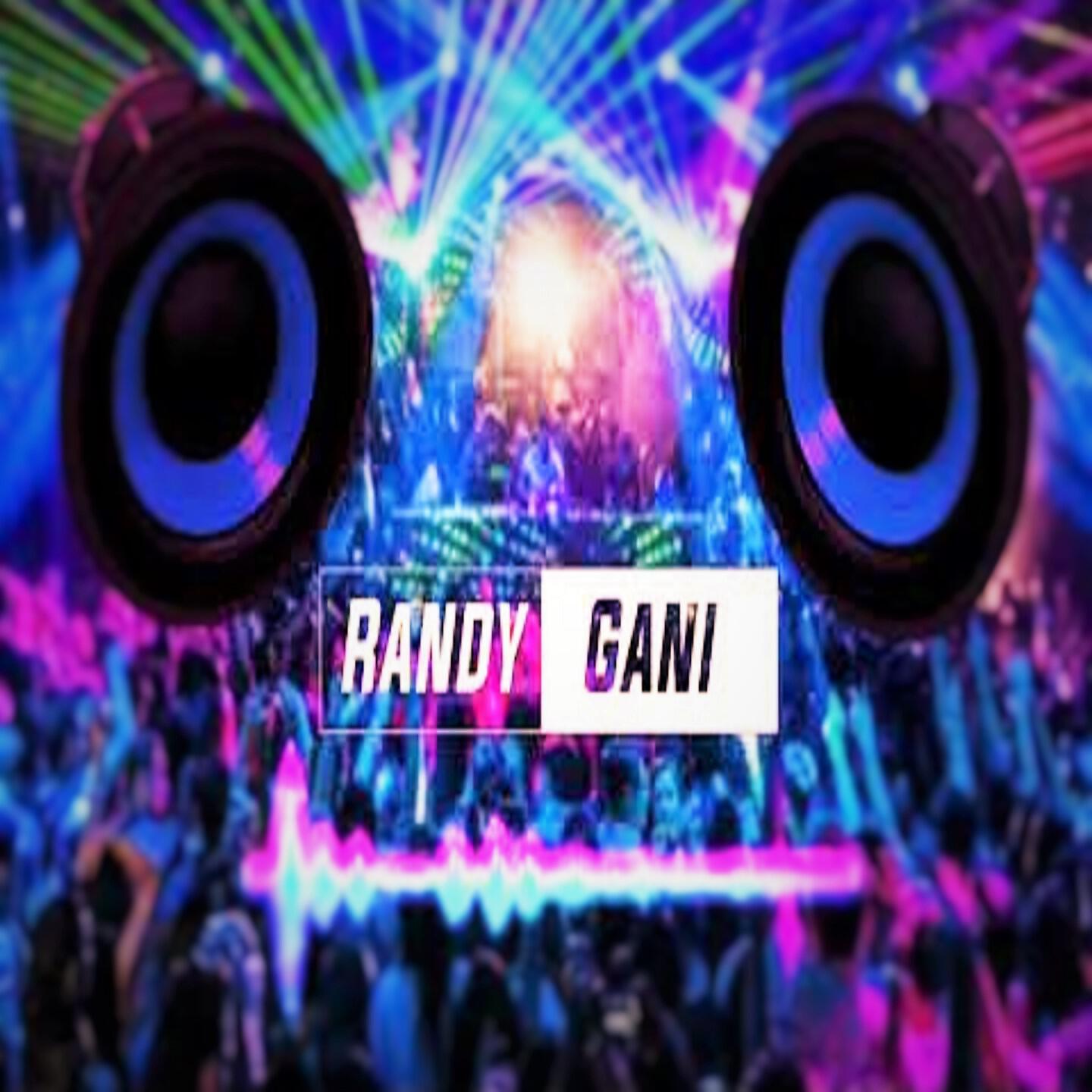 Постер альбома RANDY GANI REMIX