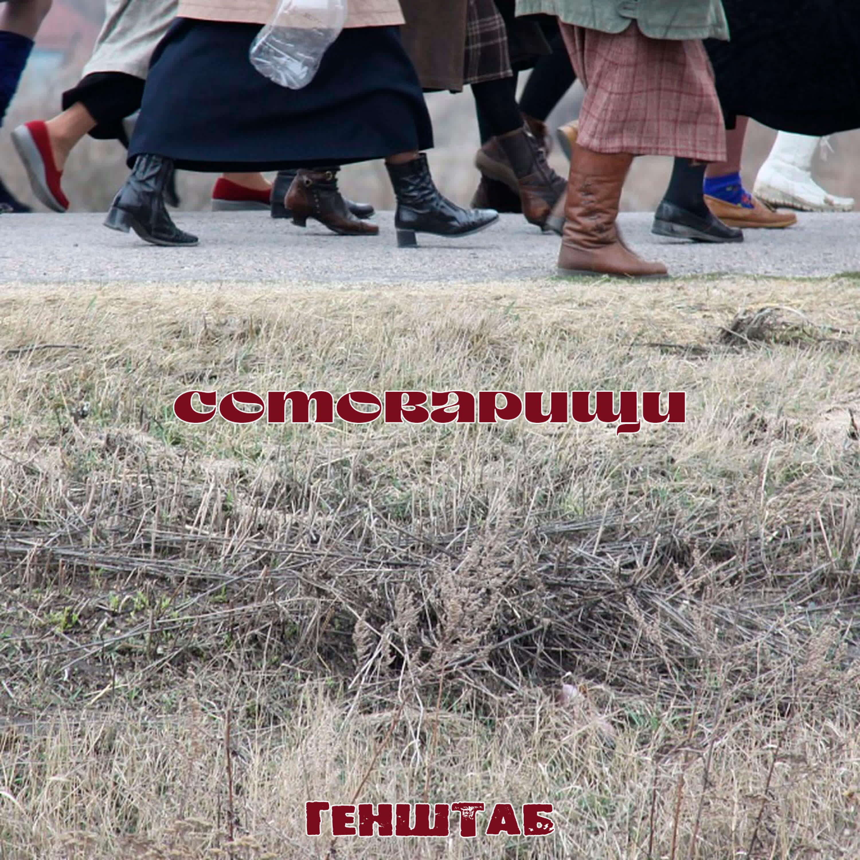 Релиз Сотоварищи