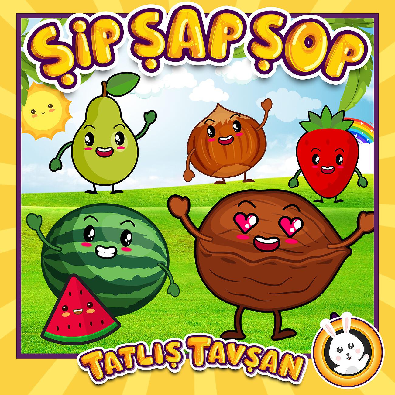 Постер альбома Şip Şap Şop