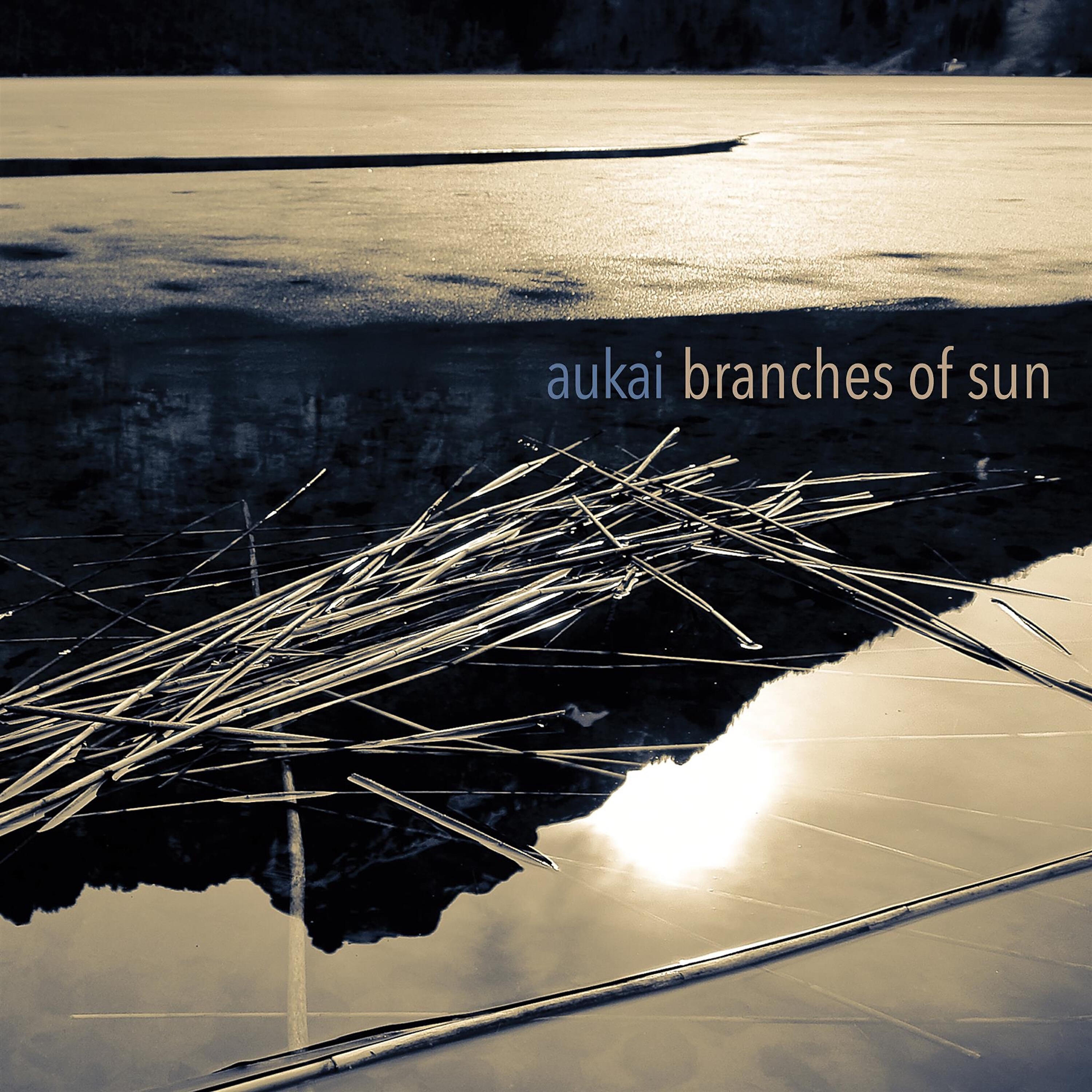Релиз Branches of Sun