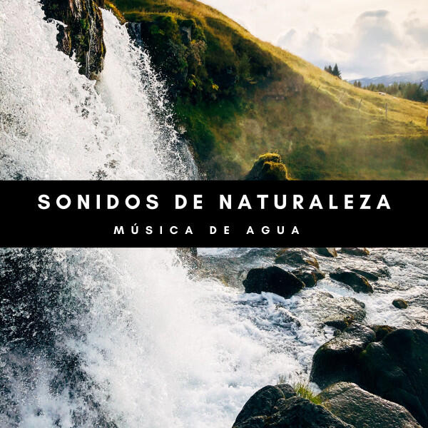 Релиз Sonidos De Naturaleza: Música De Agua