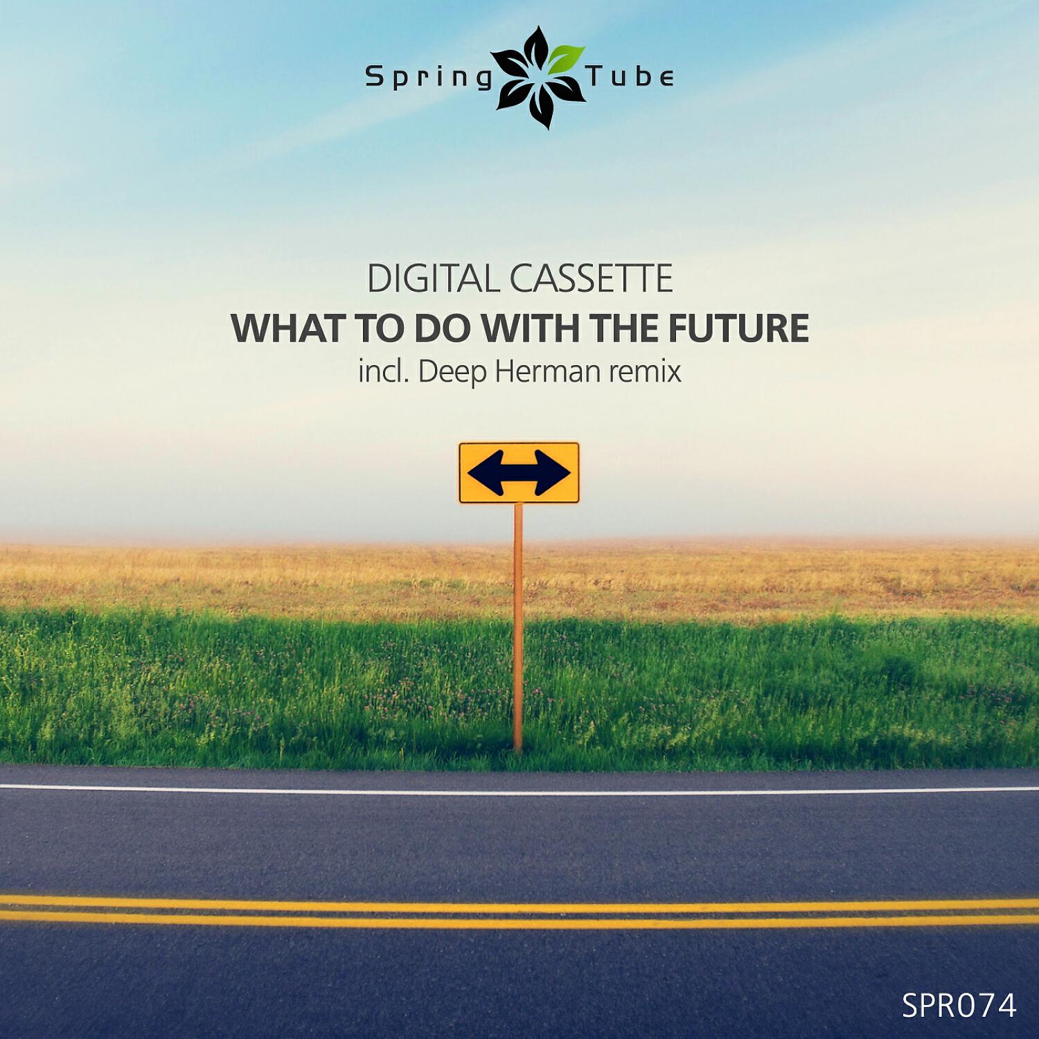 Релиз What to Do with the Future