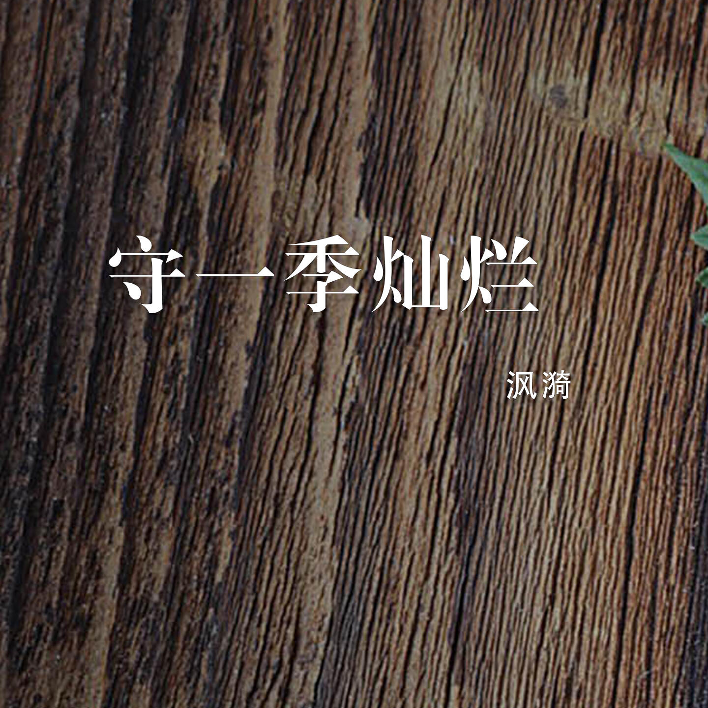 Релиз 守一季灿烂