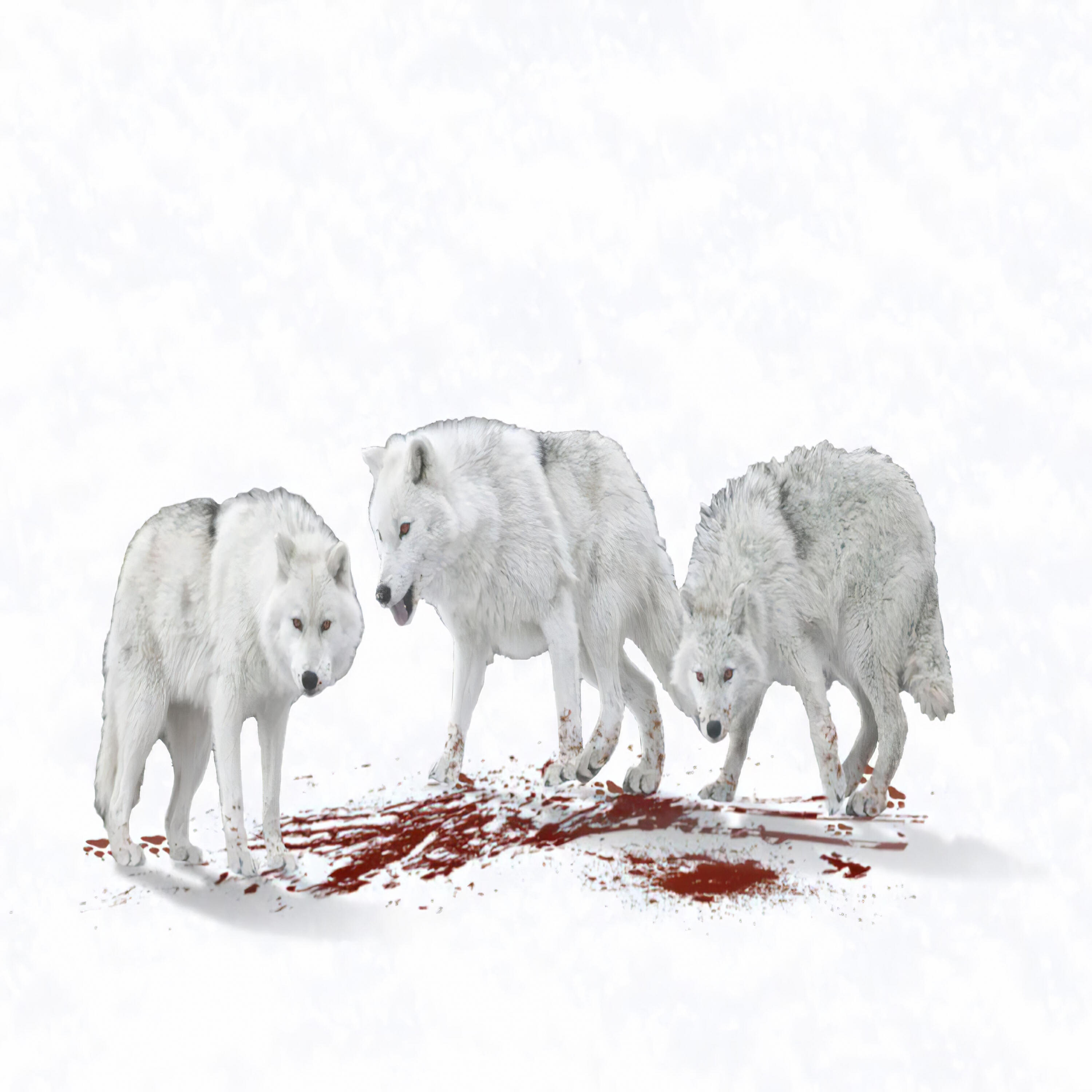 Релиз The Price of Life