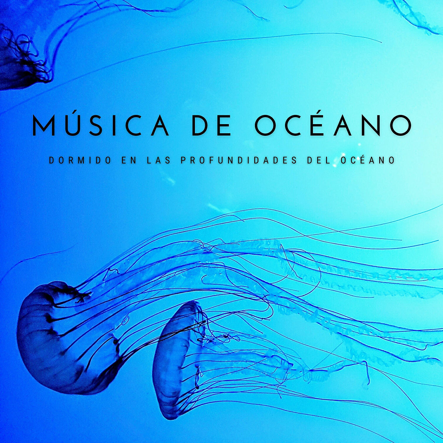 Релиз Música De Océano: Dormido En Las Profundidades Del Océano