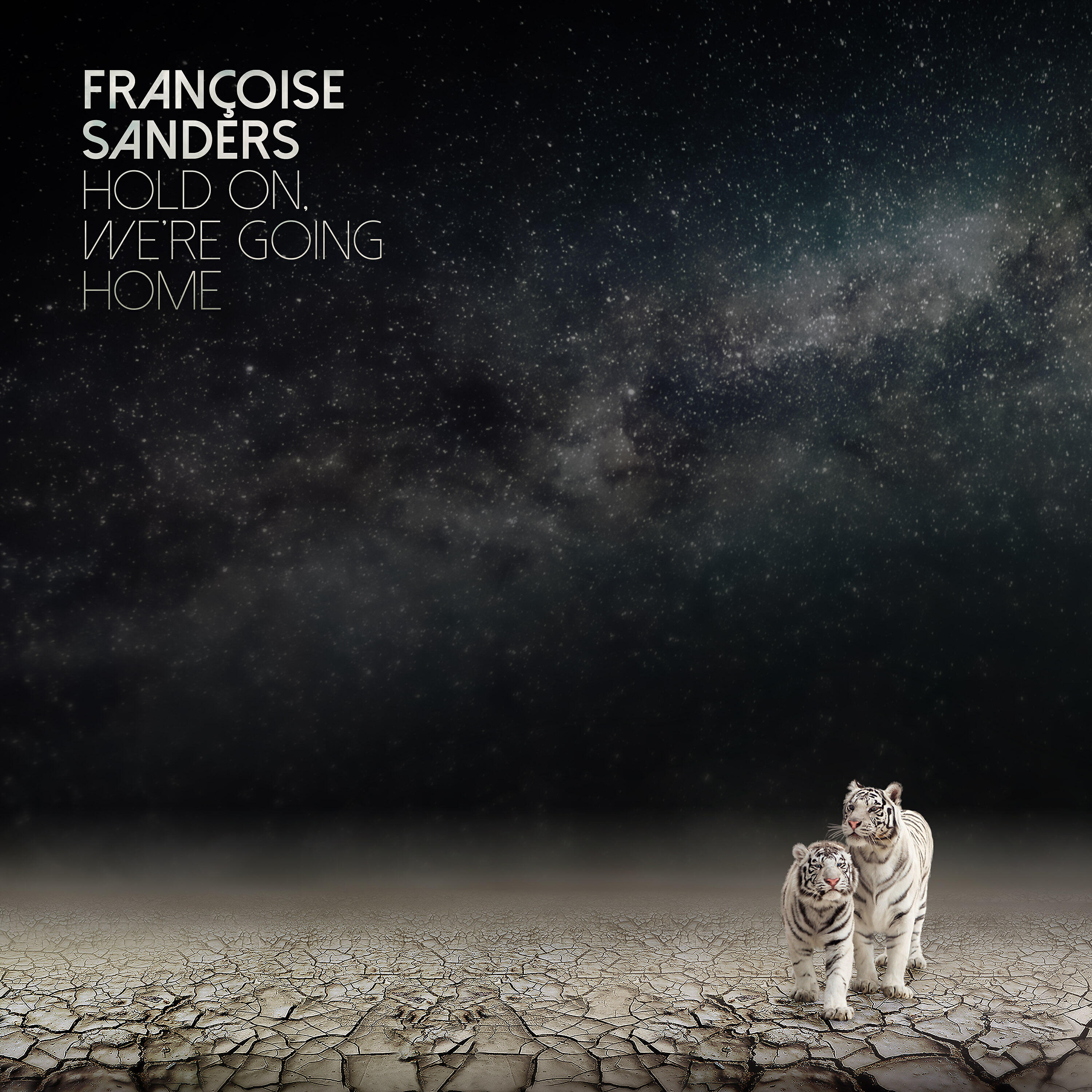 Релиз Hold on, We're Going Home