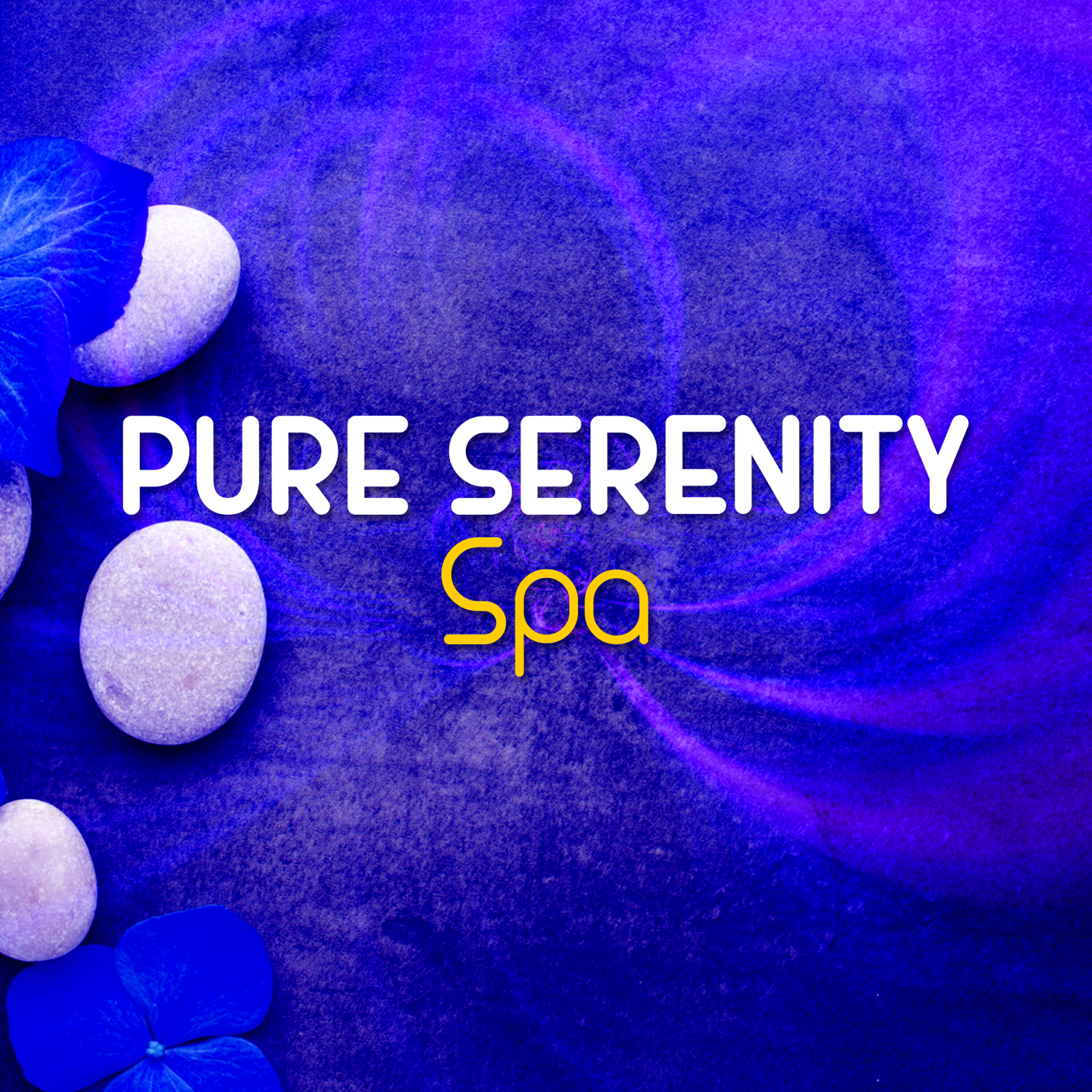 Релиз Pure Serenity Spa