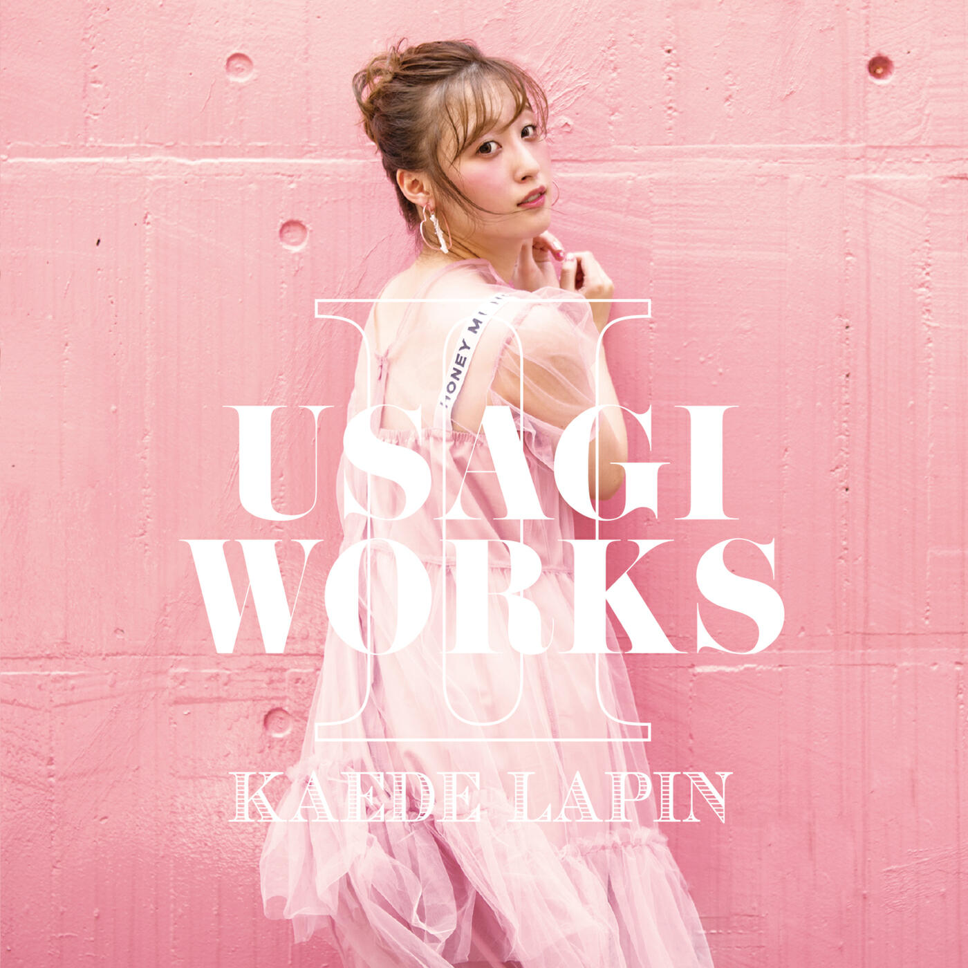 Релиз USAGI WORKS II