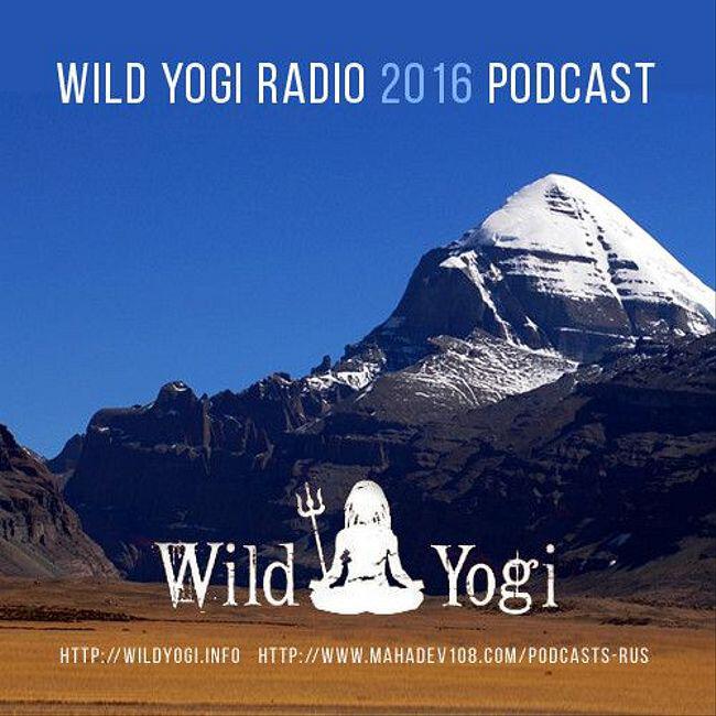 Подкаст Wild Yogi Radio