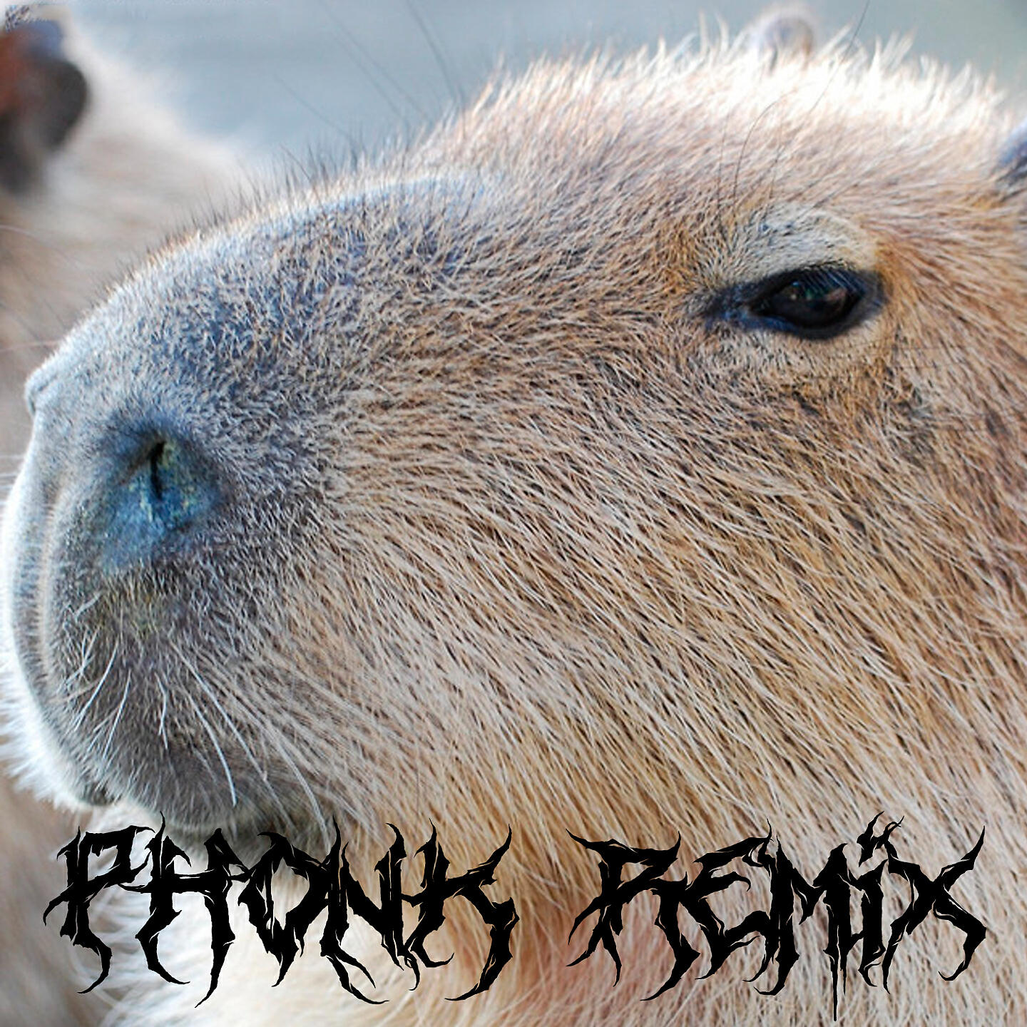 Релиз Capybara