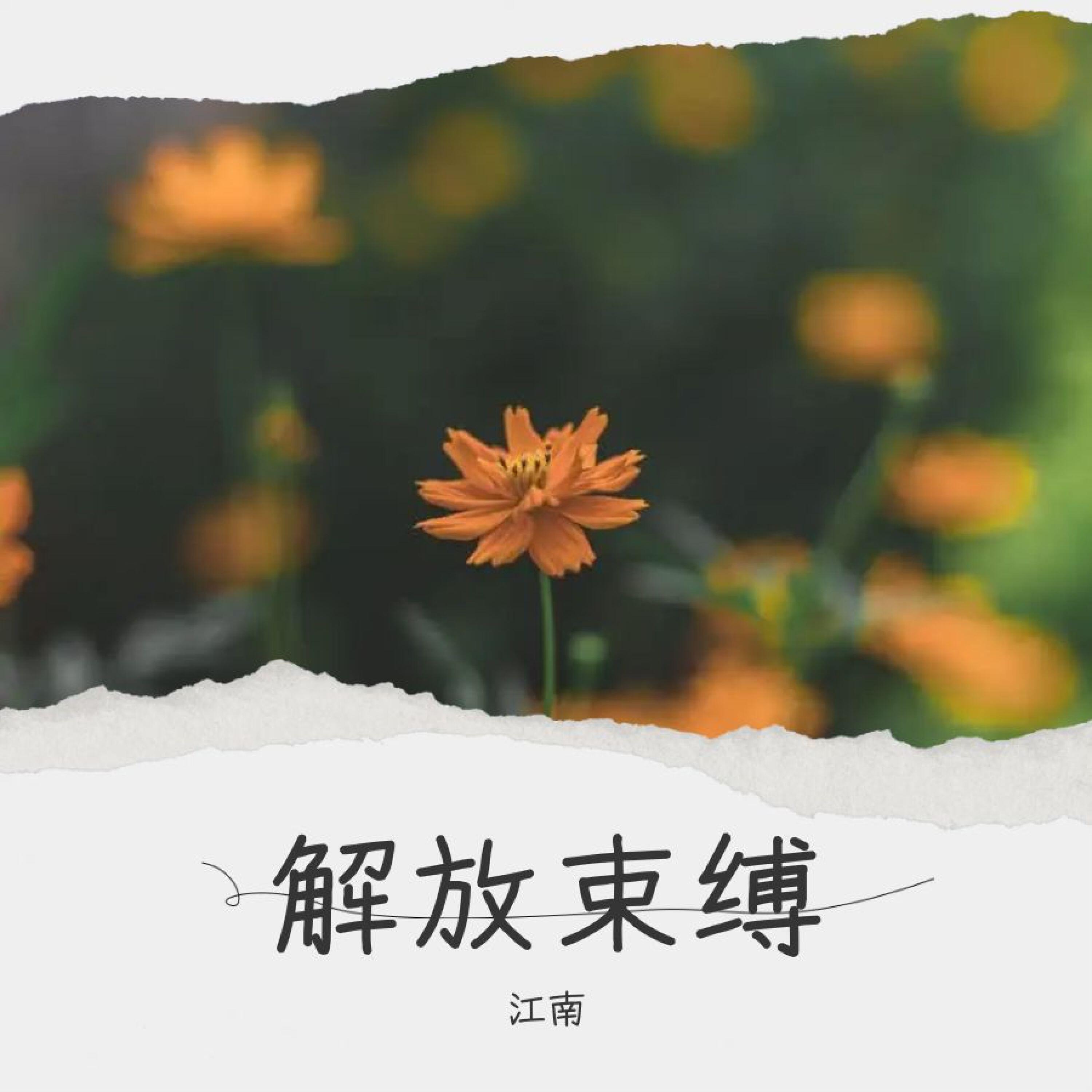 Релиз 解放束缚