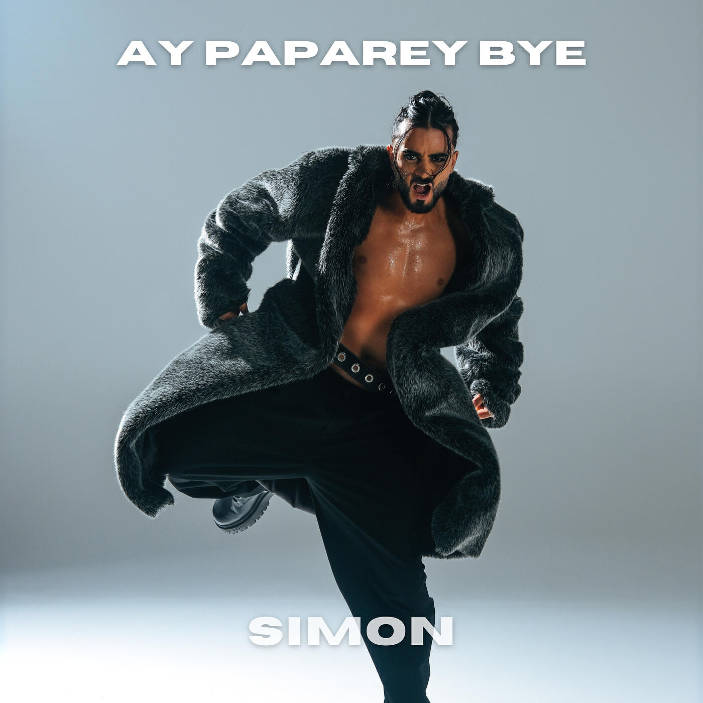 Релиз Ay Paparey Bye
