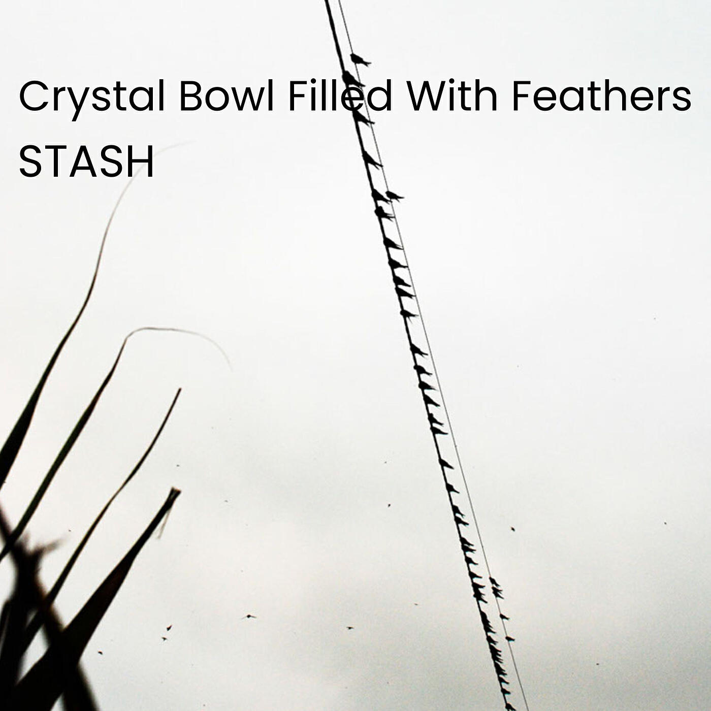 Релиз Crystal Bowl Filled With Feathers
