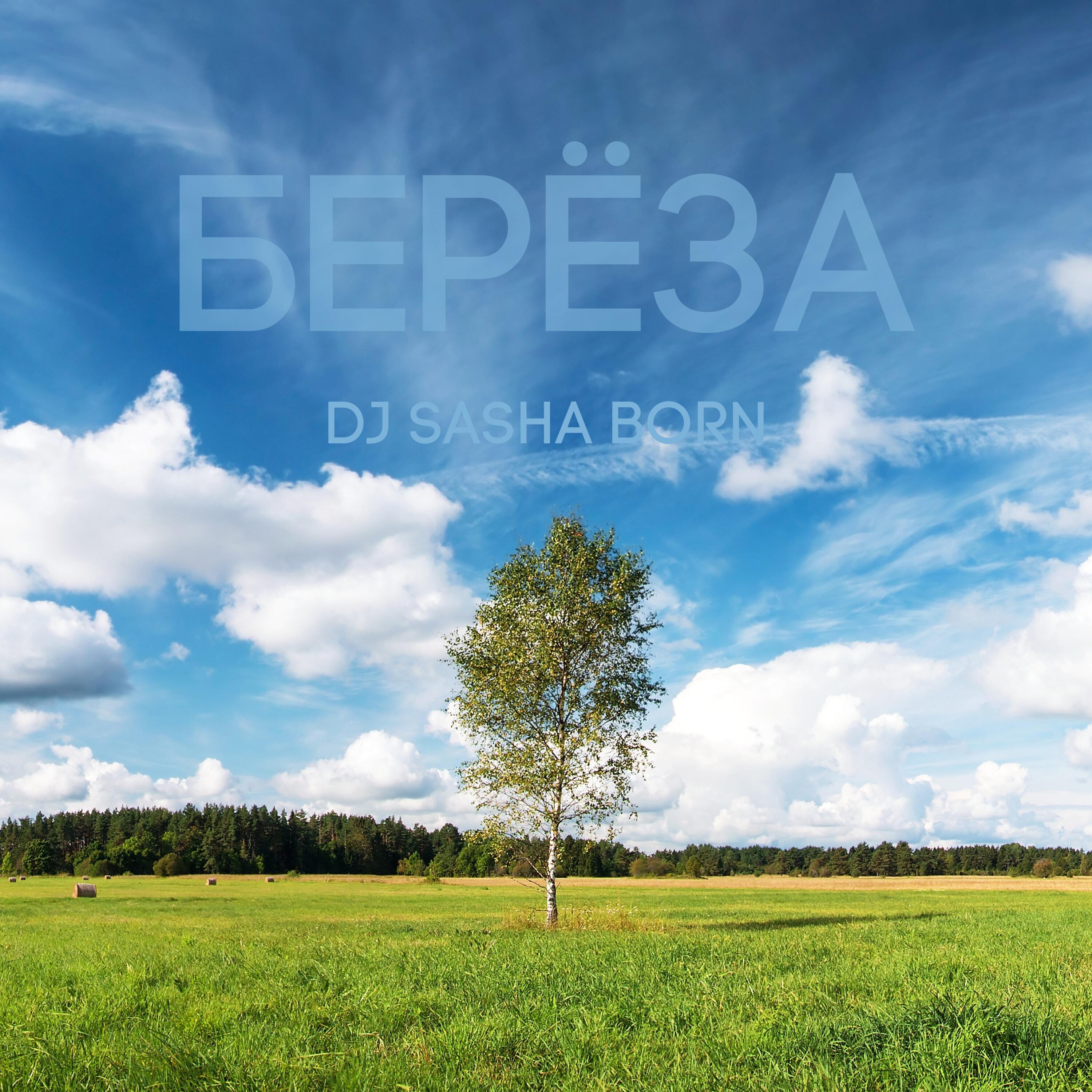 Релиз Берёза