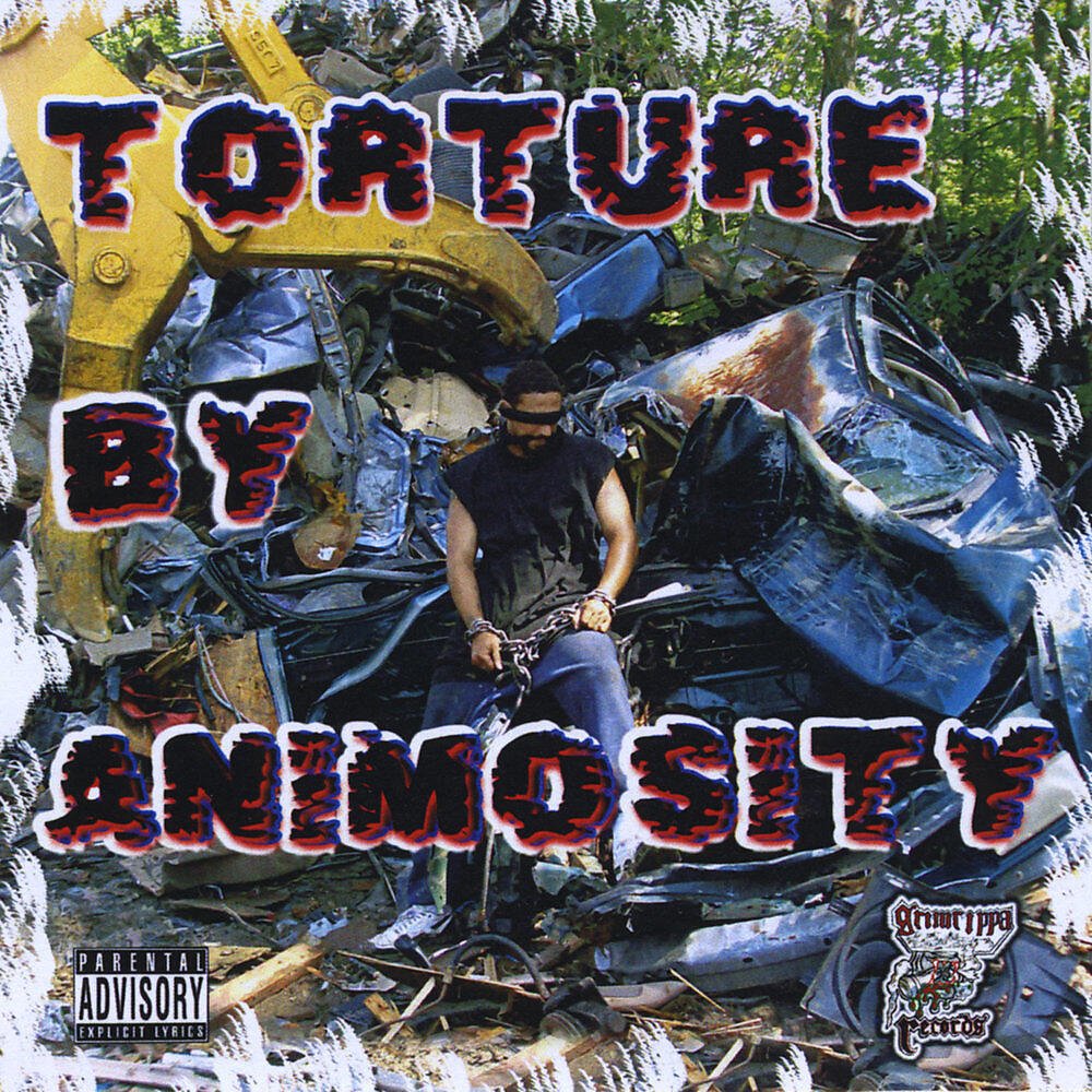 Релиз Torture By Animosity
