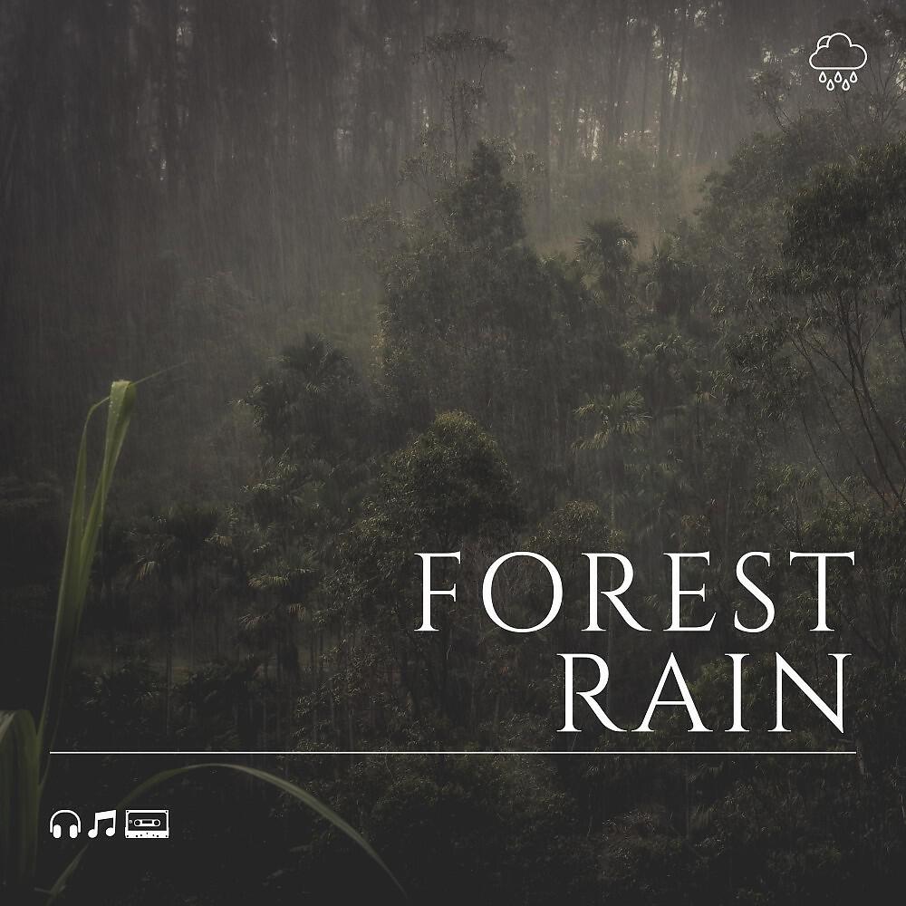 Релиз Forest Rain