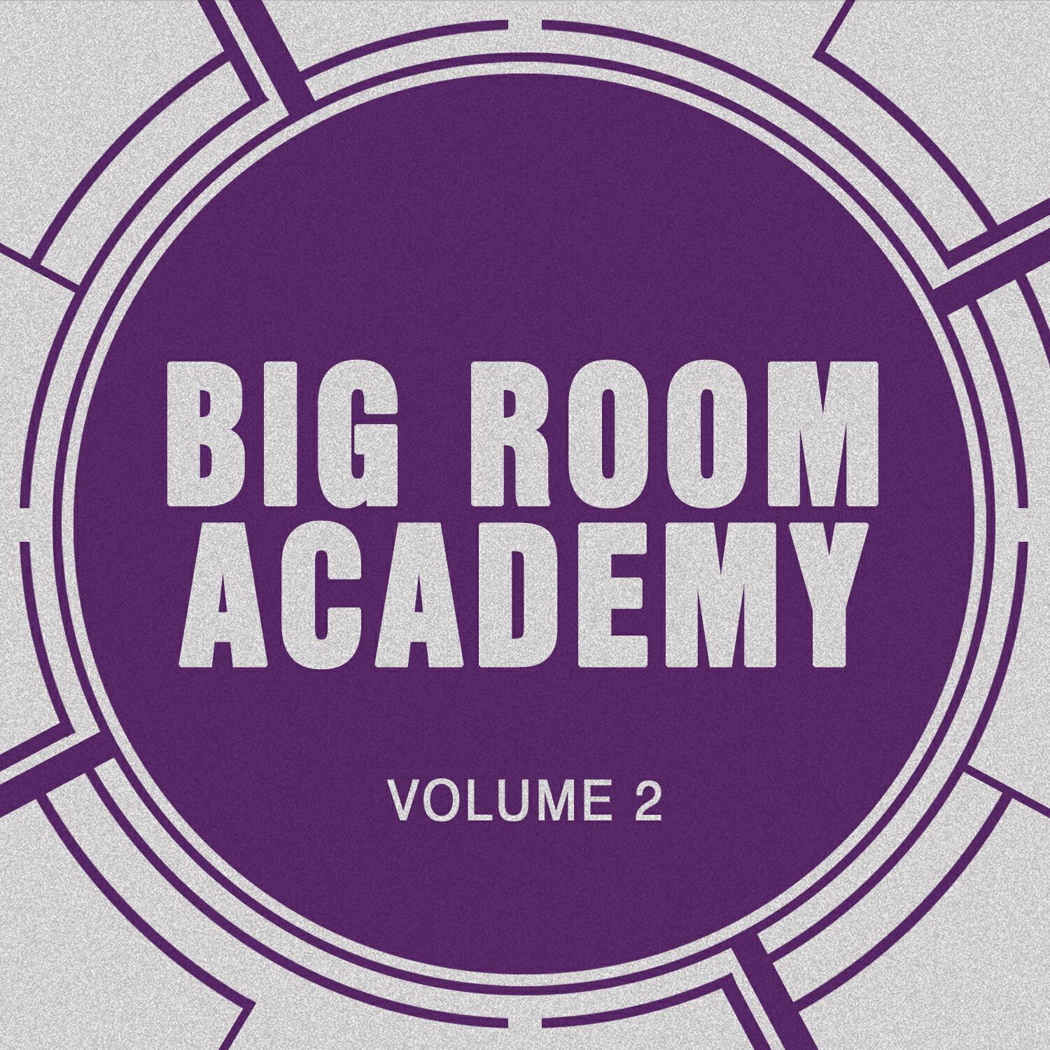 Релиз Big Room Academy, Vol. 2