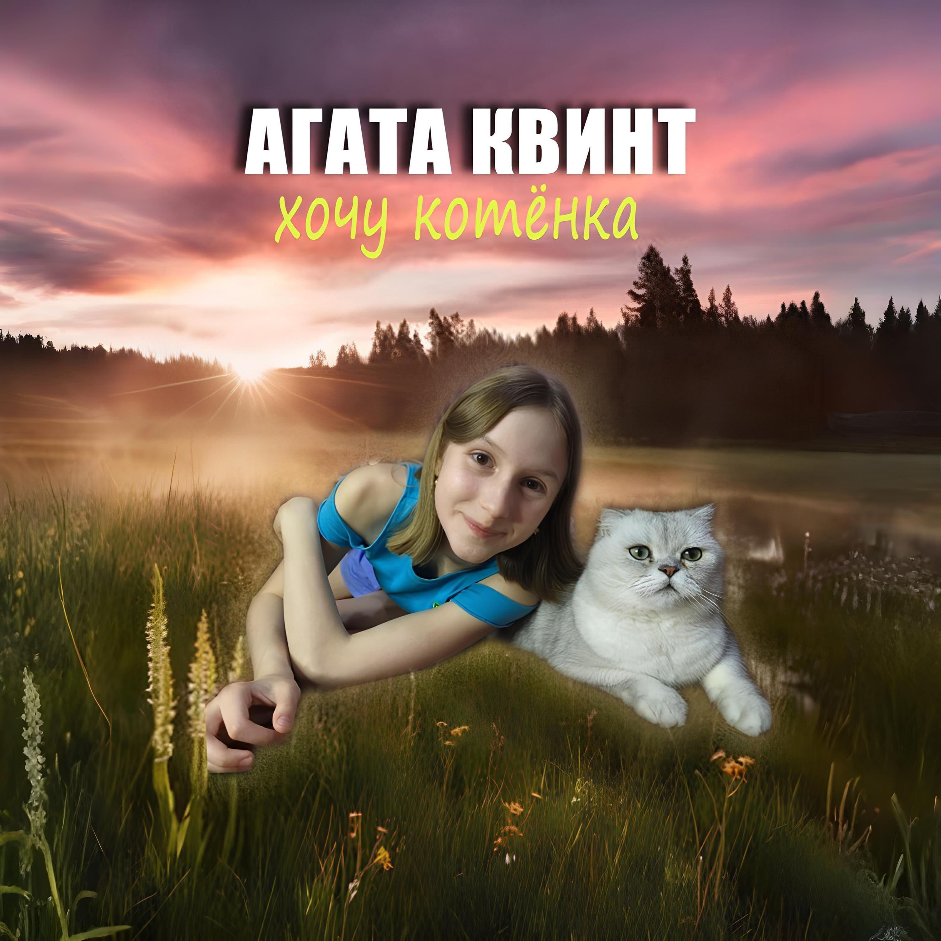 Релиз Хочу котёнка