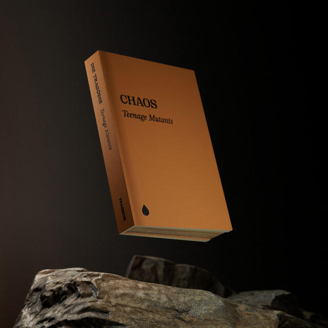 Релиз Chaos