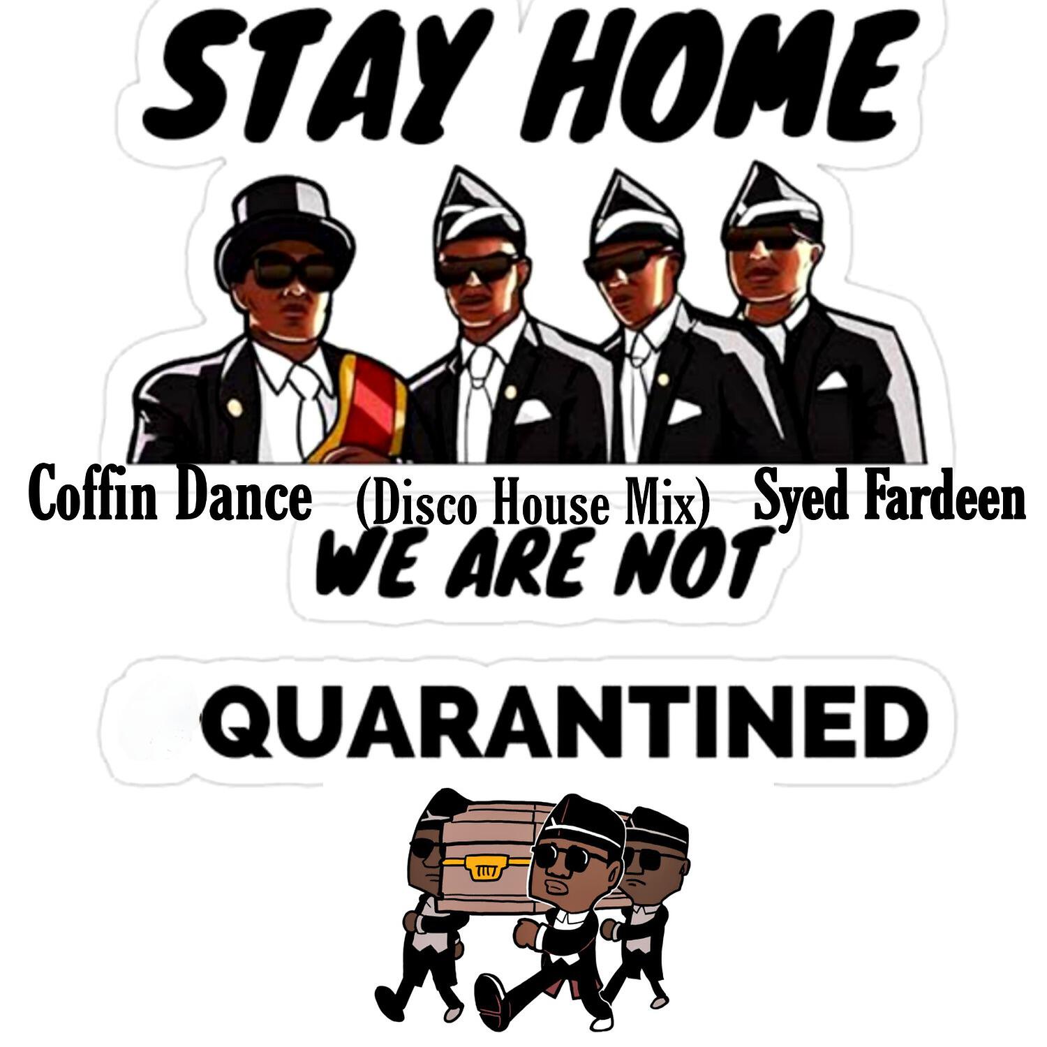 Постер альбома Coffin Dance