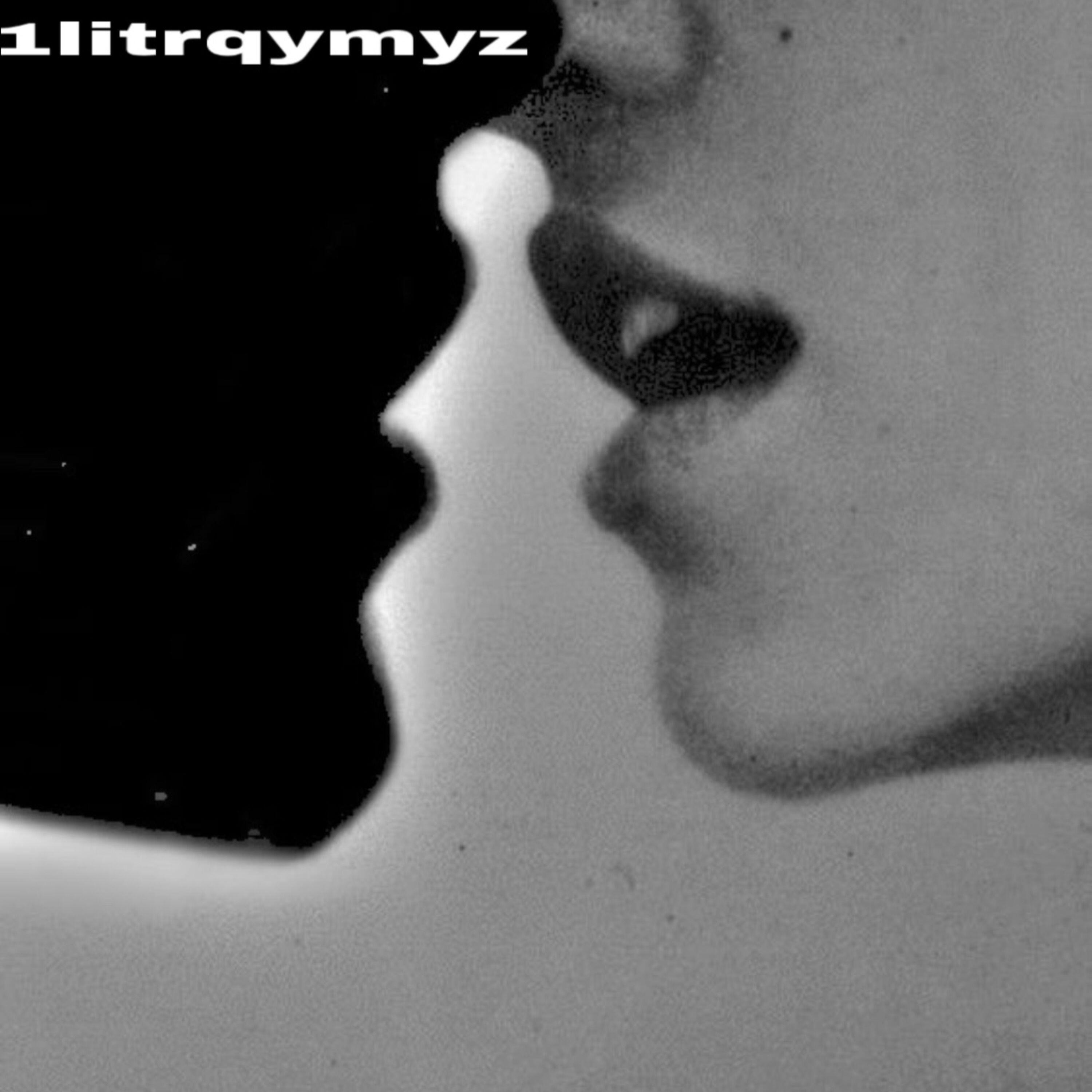 1litrqymyz