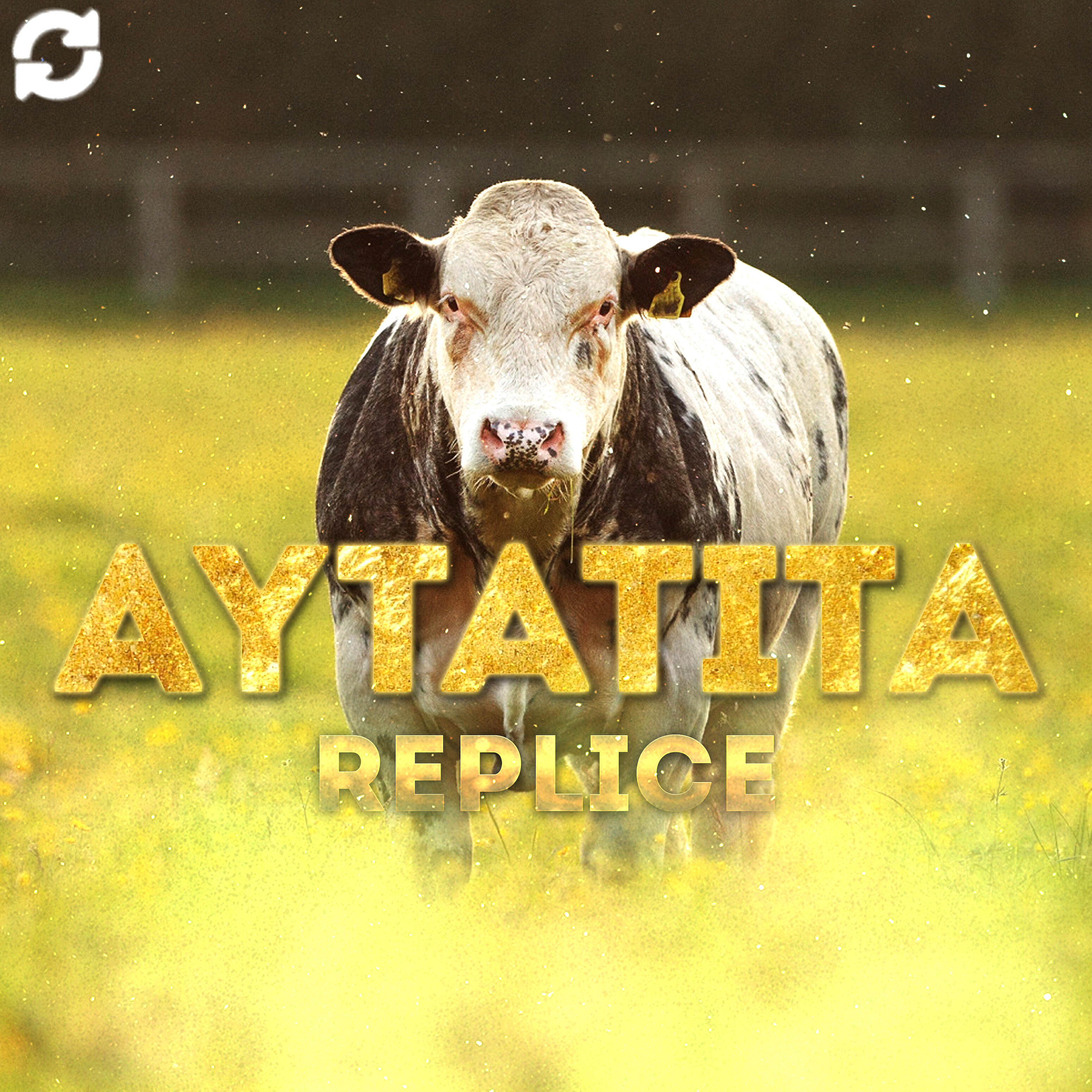 Релиз AYTATITA (Remix)
