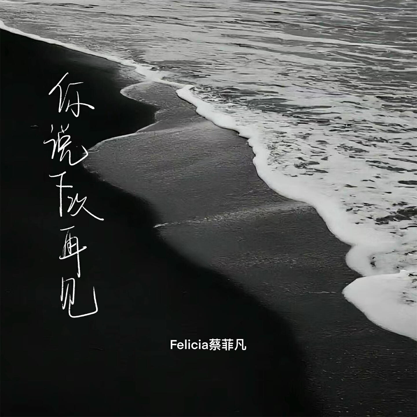 Релиз 你说下次再见