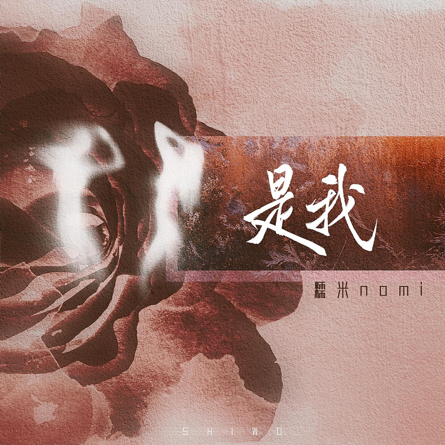 Релиз 是我