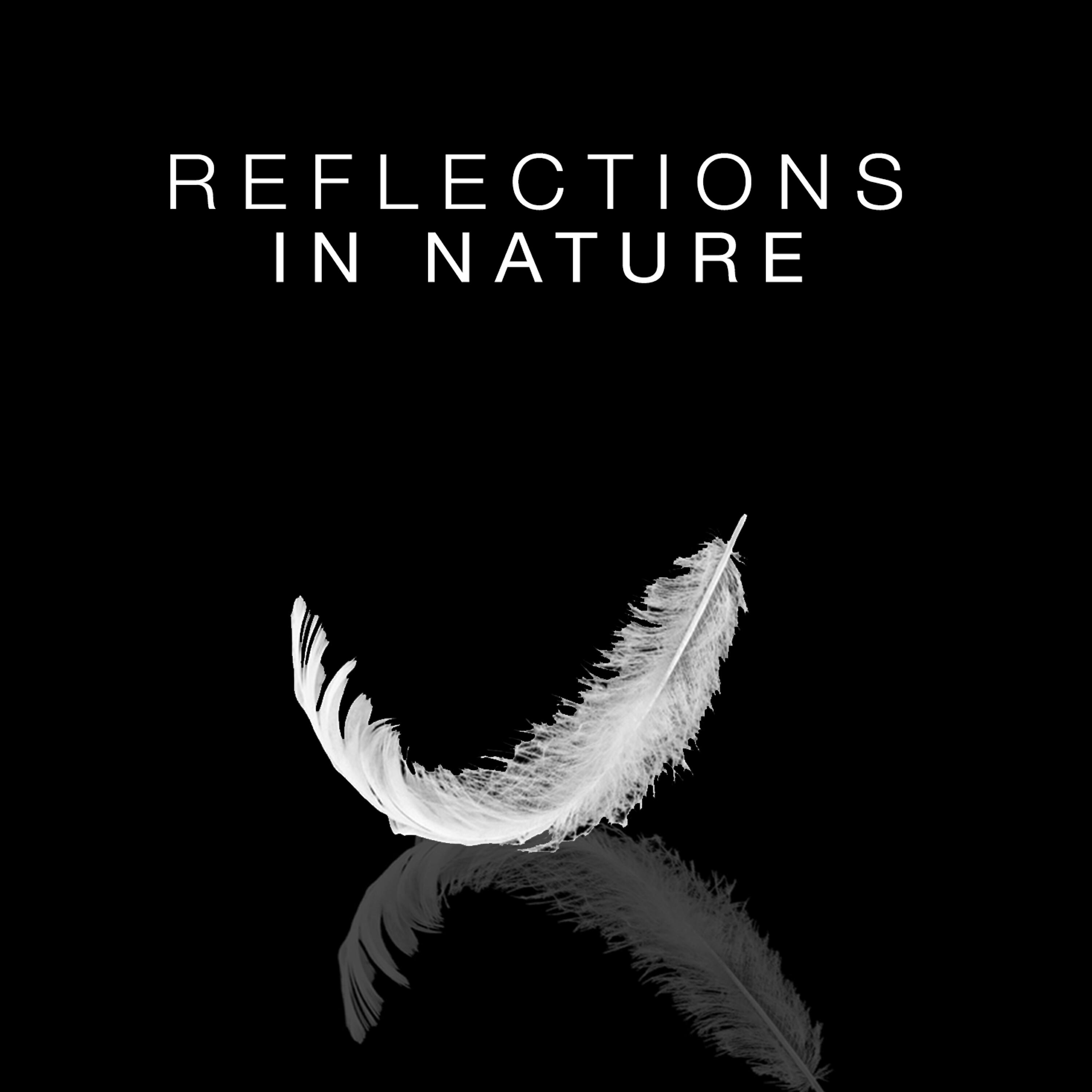 Релиз Reflections in Nature