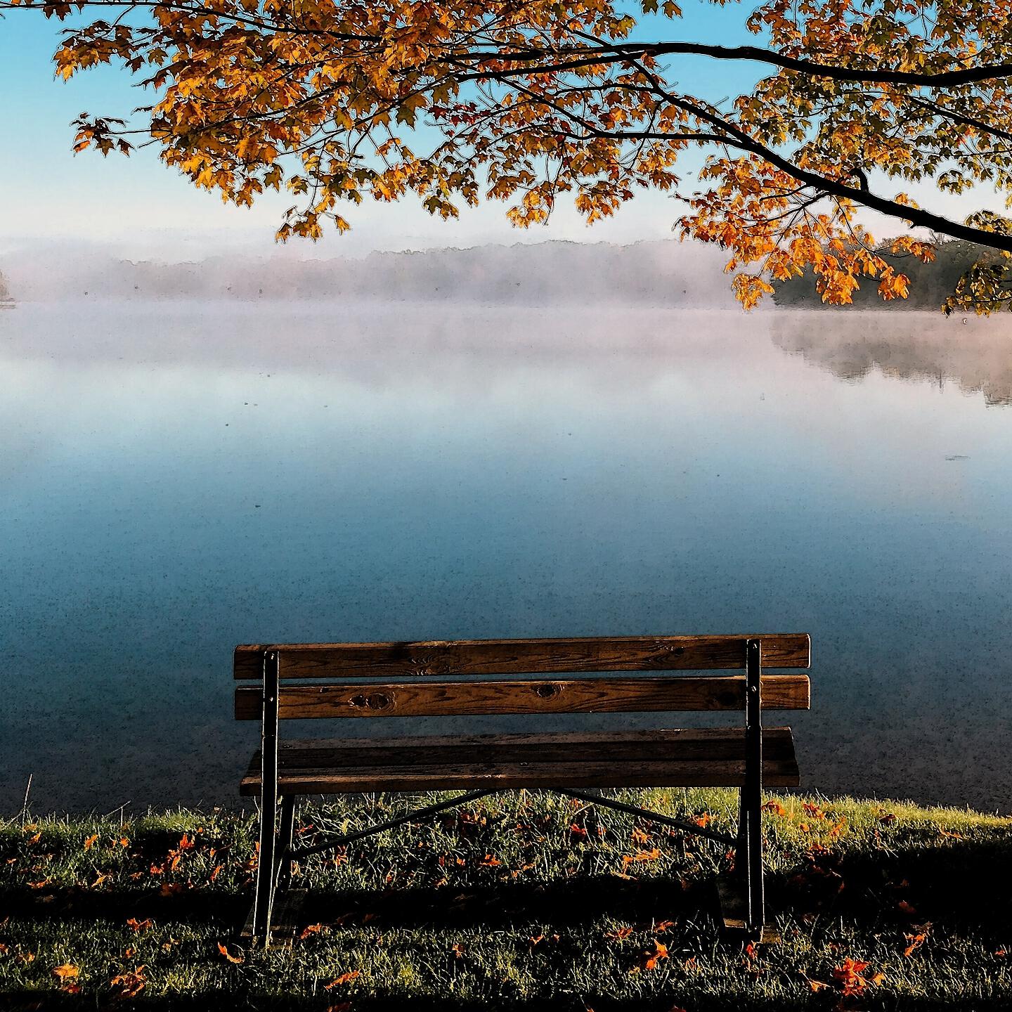 Постер альбома Beautiful Loneliness