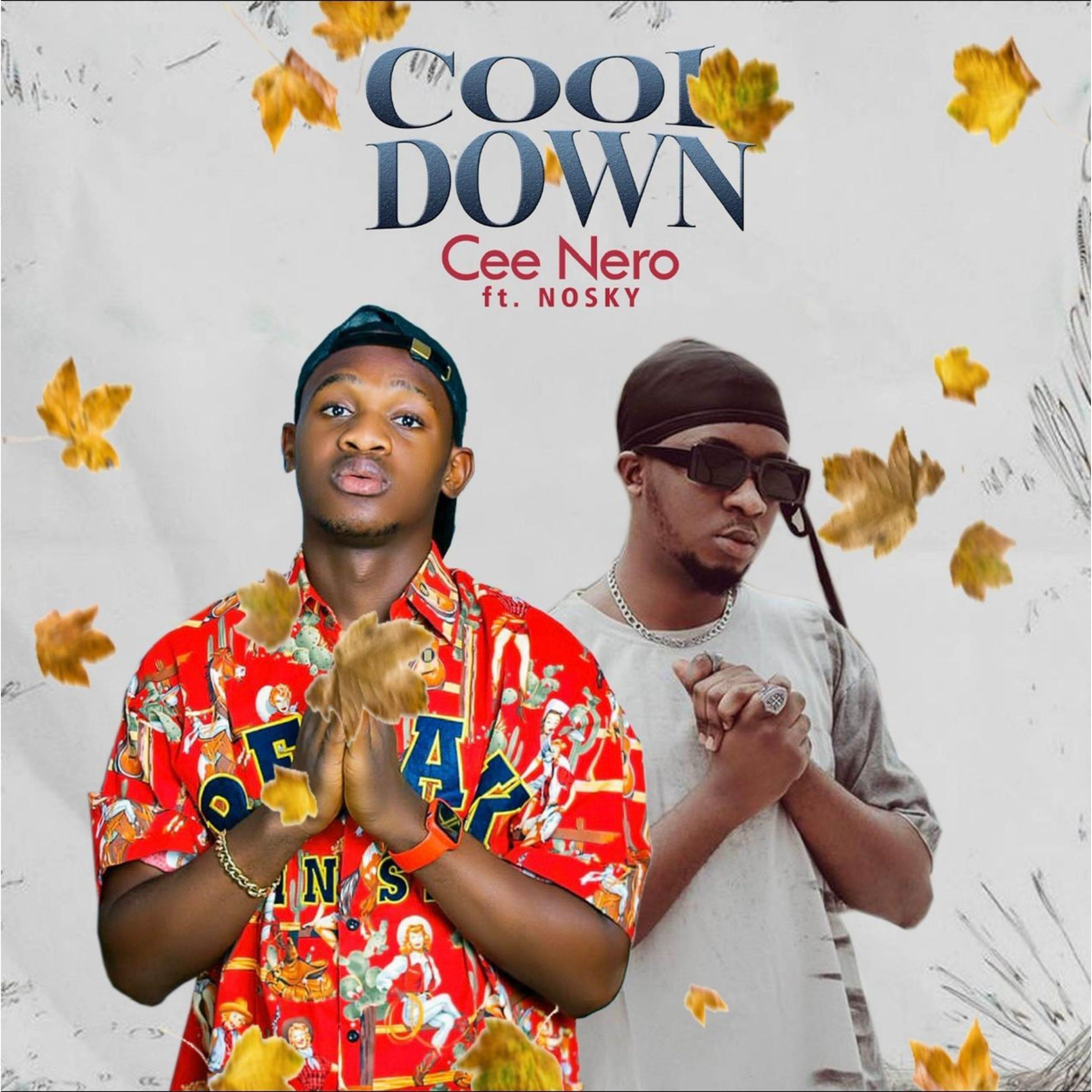 Релиз Cool Down