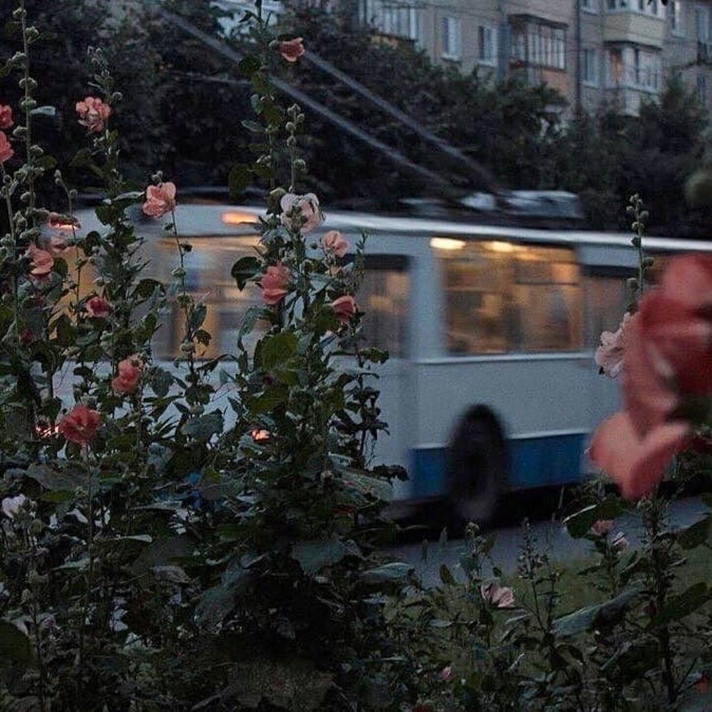 свободная касса!