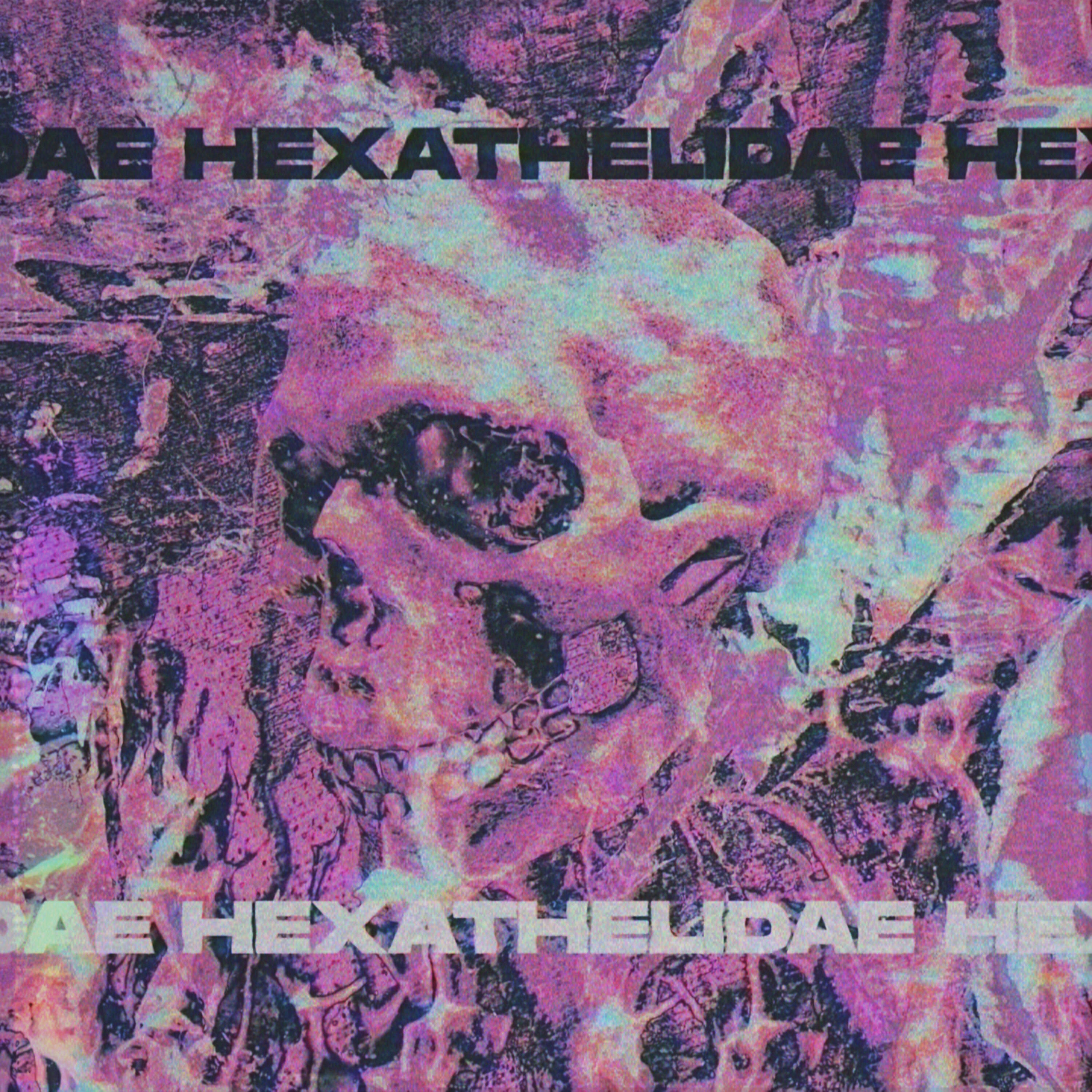 Релиз Hexathelidae