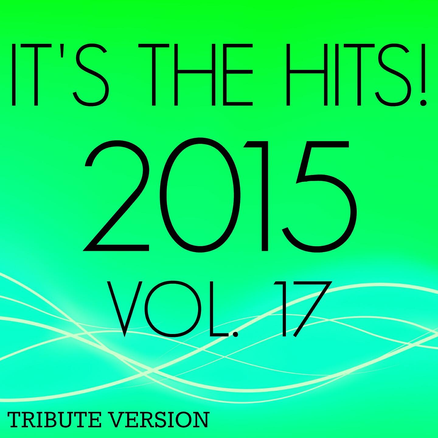 Постер альбома It's the Hits! 2015, Vol.17