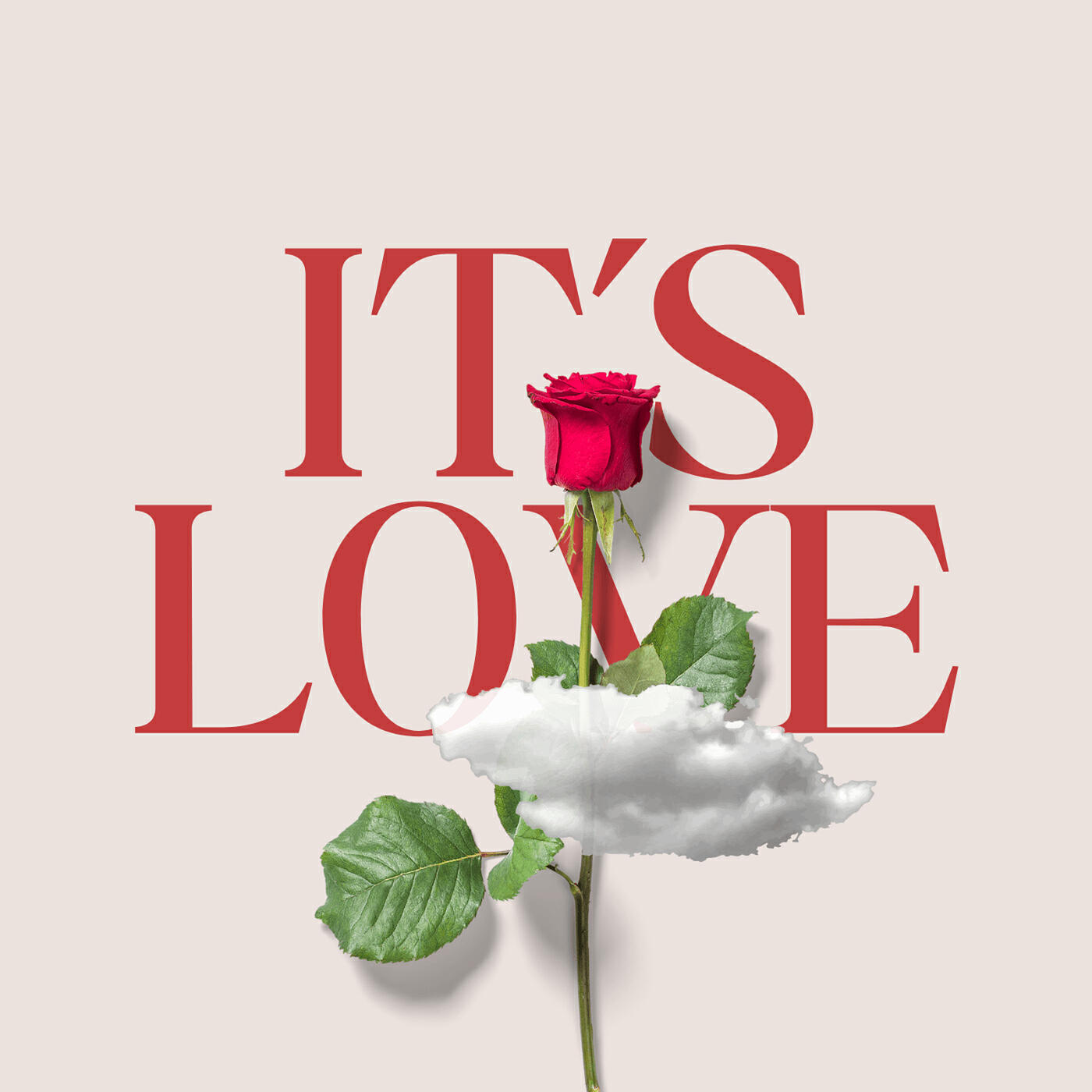 Релиз It's Love