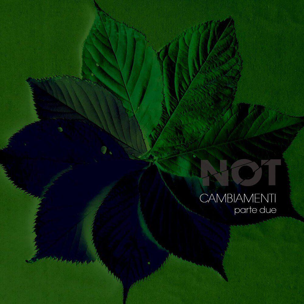 Релиз CAMBIAMENTI parte due