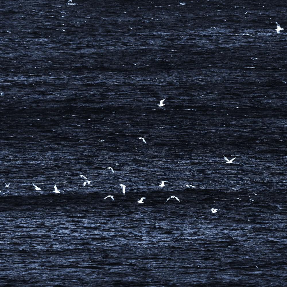 Релиз 1000 Pr0Messes