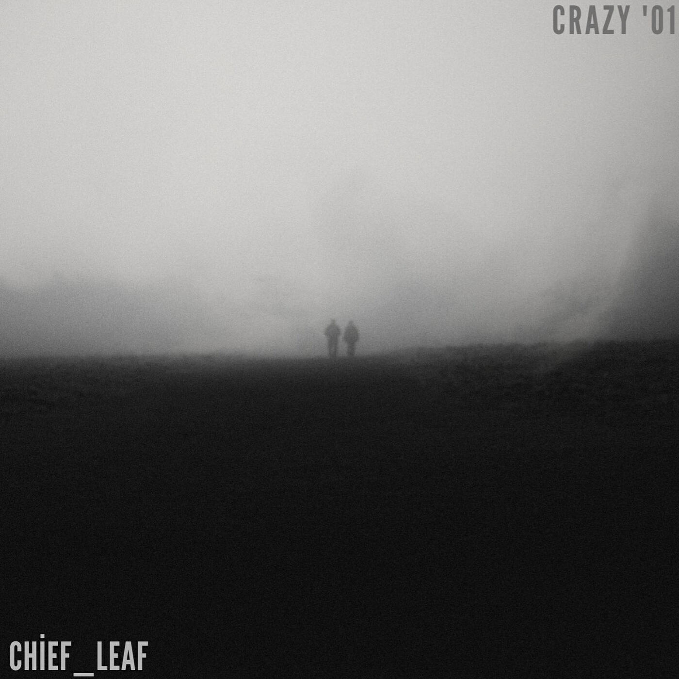 Релиз Crazy '01