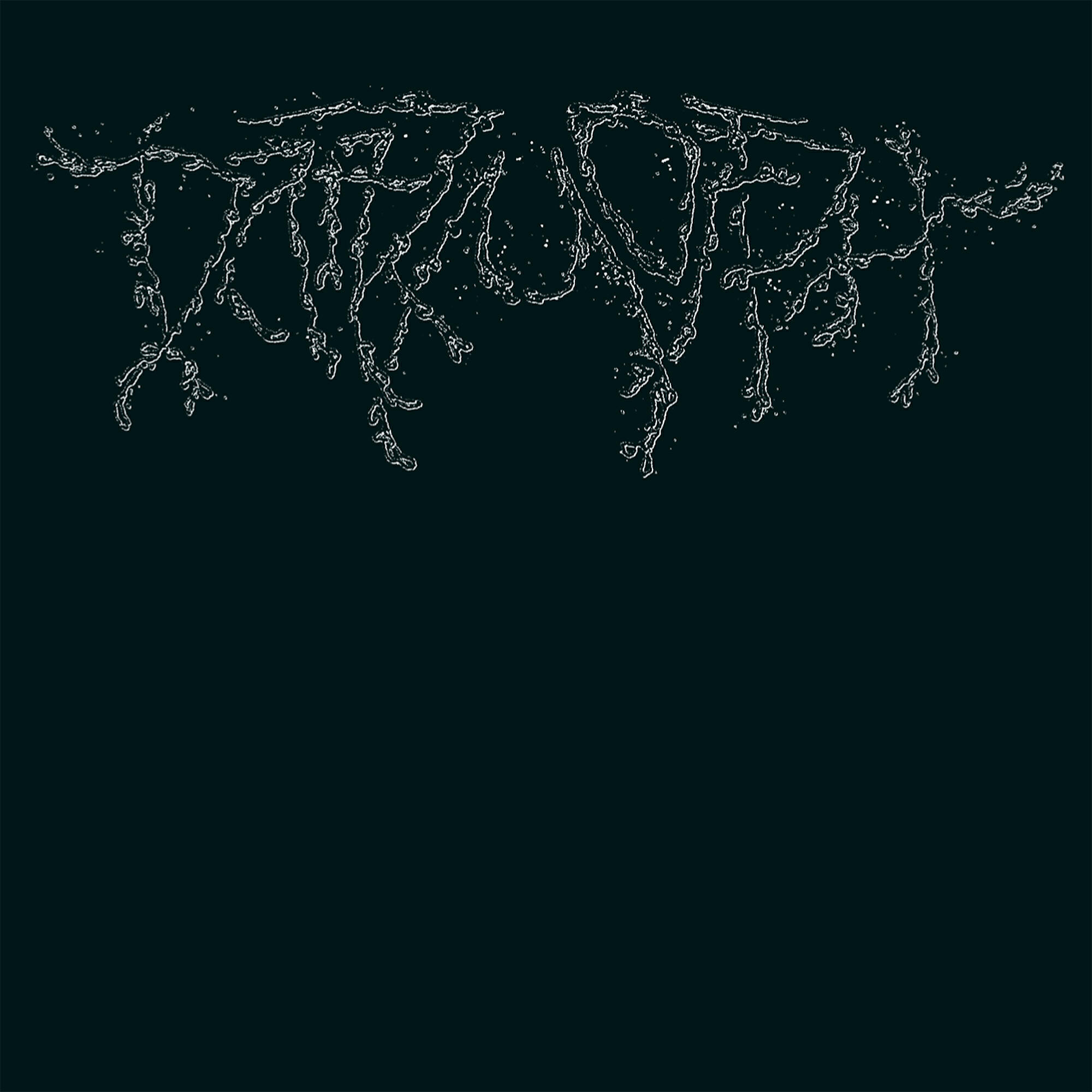 Постер альбома Dark Morph