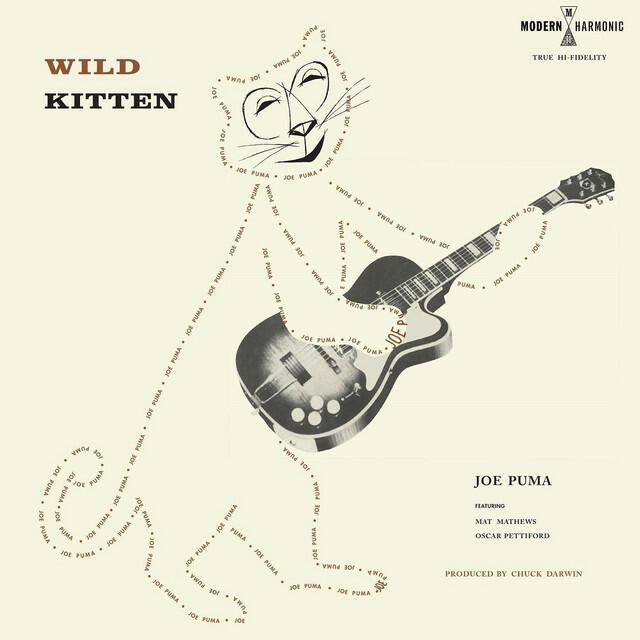 Релиз Wild Kitten