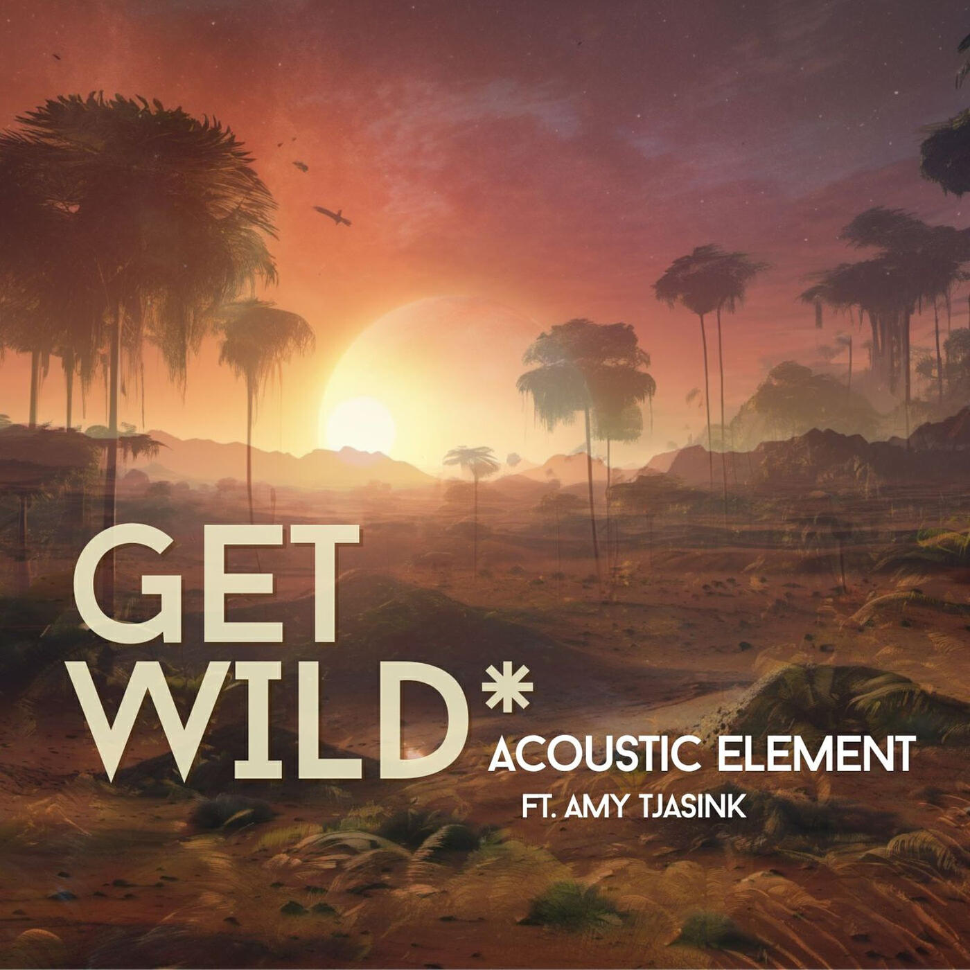 Amy Tjasink