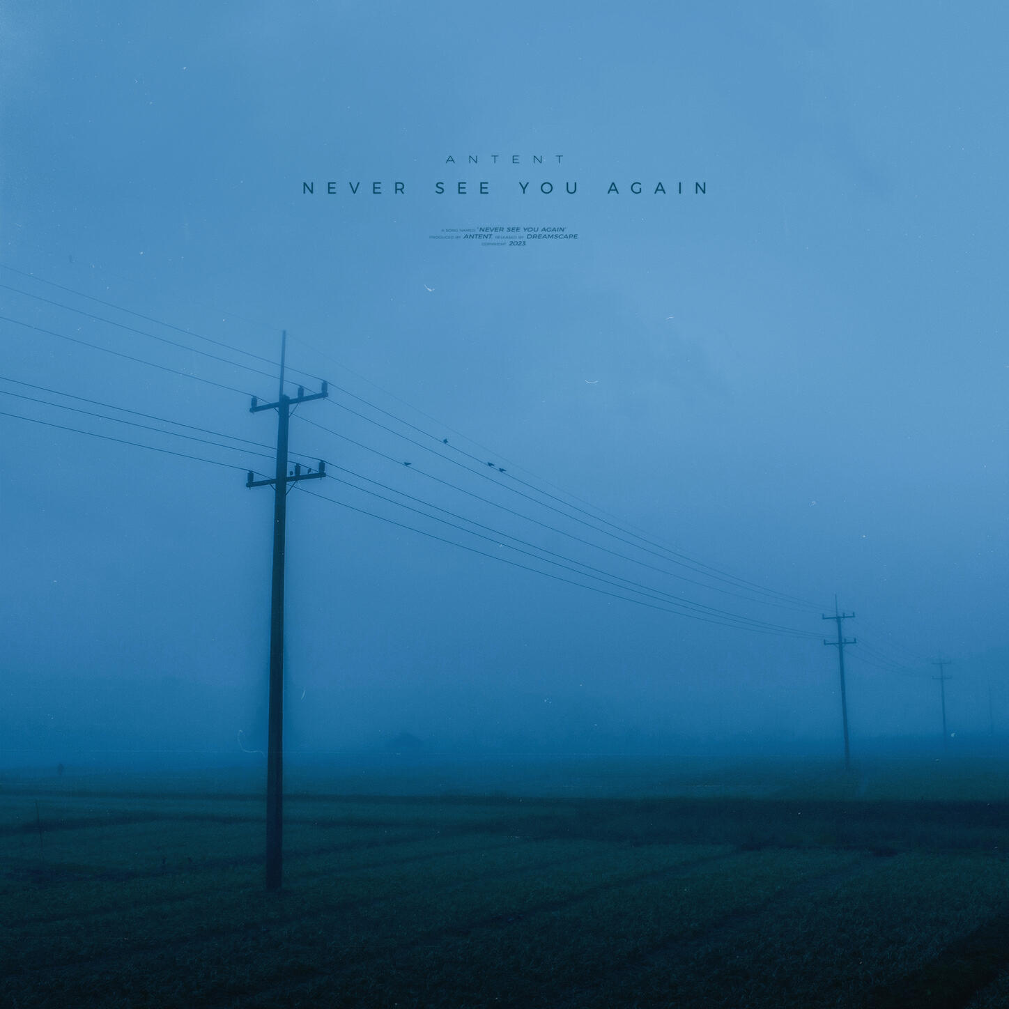 Релиз never see you again