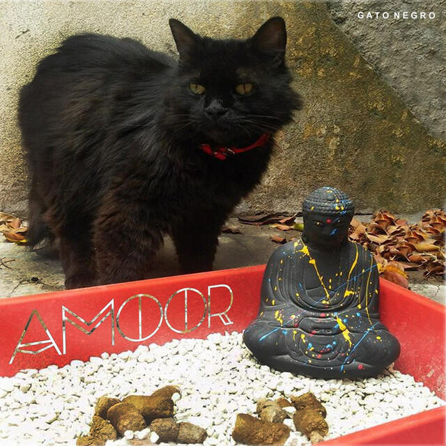 Релиз Gato Negro