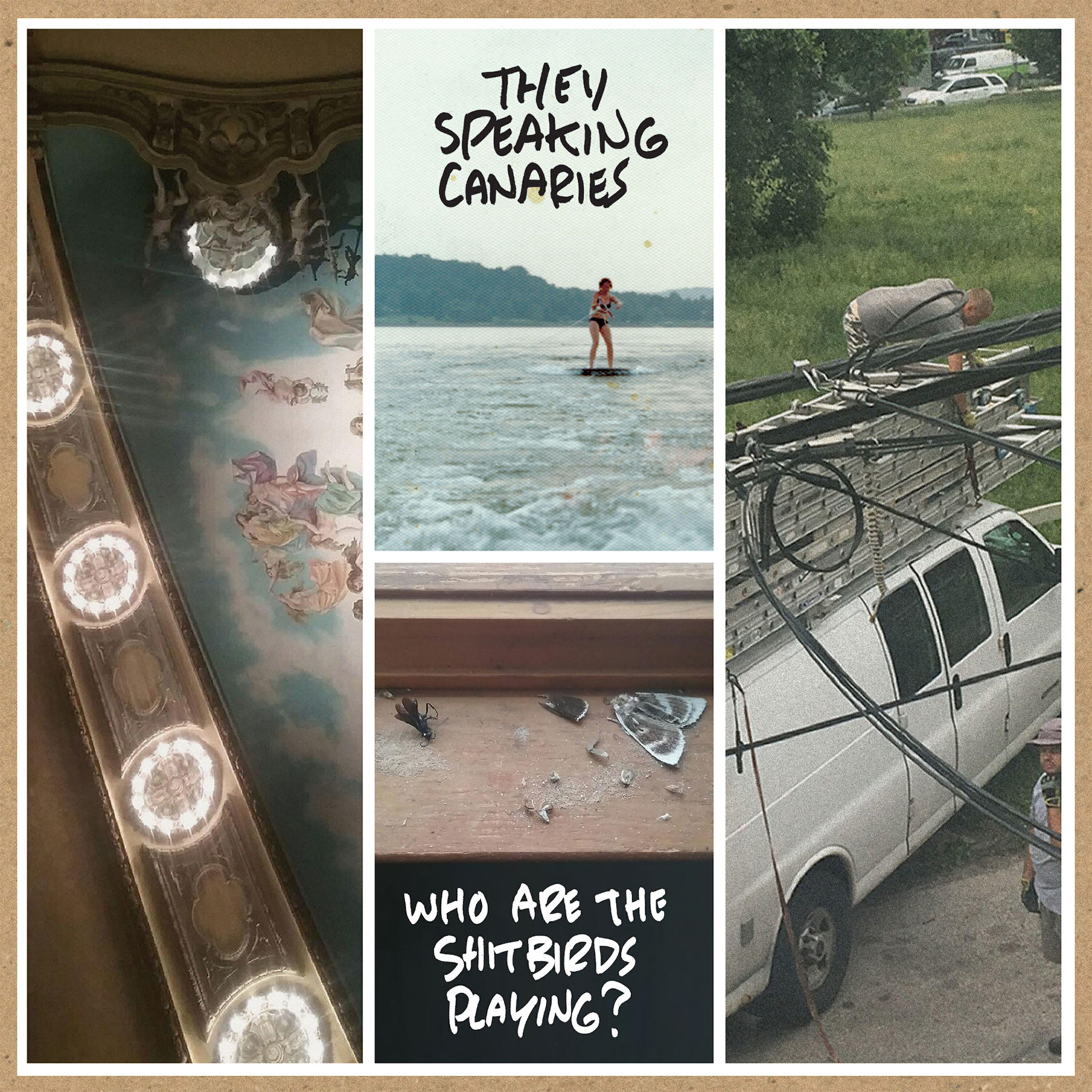 Релиз Who Are the Shitbirds Playing?