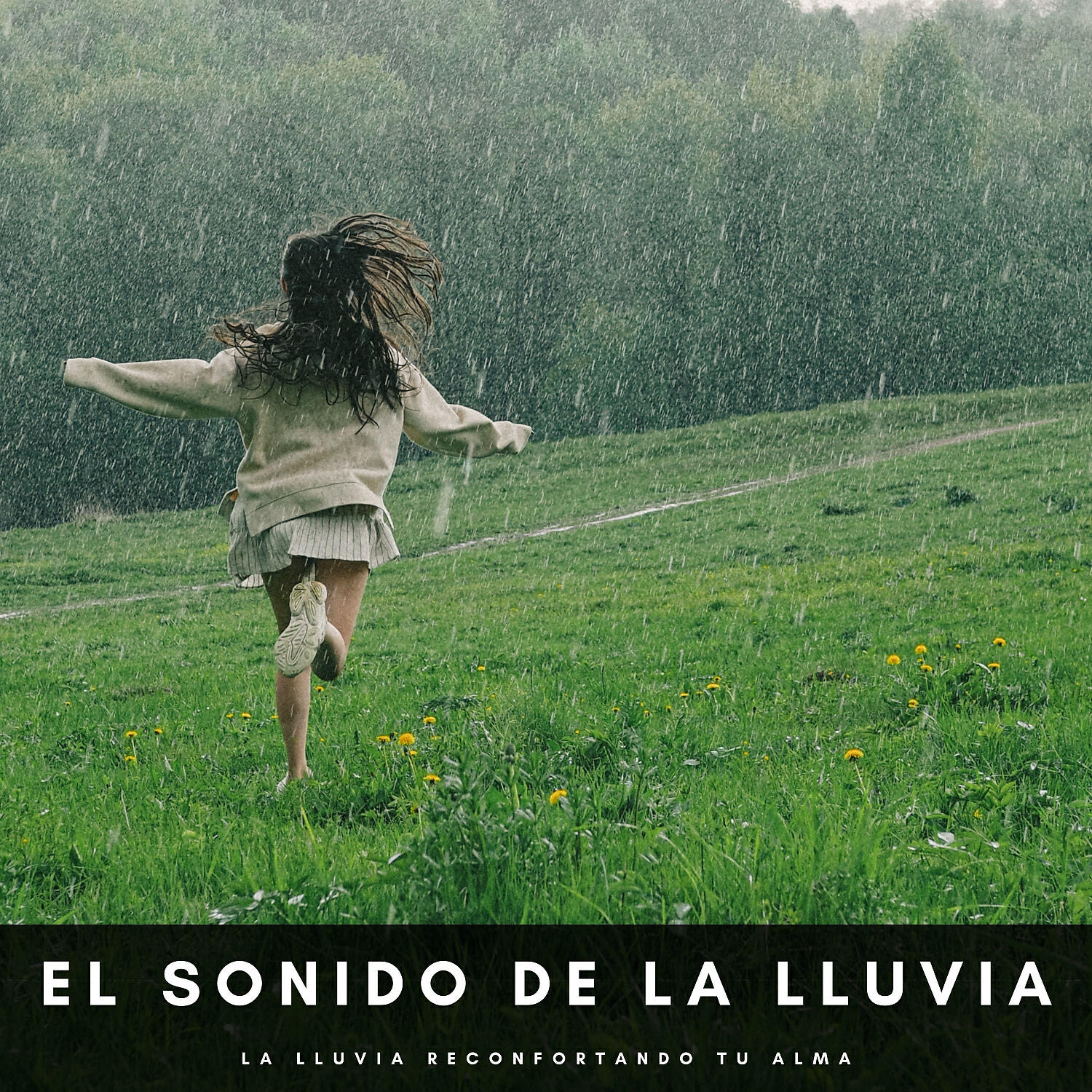 Релиз El Sonido De La Lluvia: La Lluvia Reconfortando Tu Alma