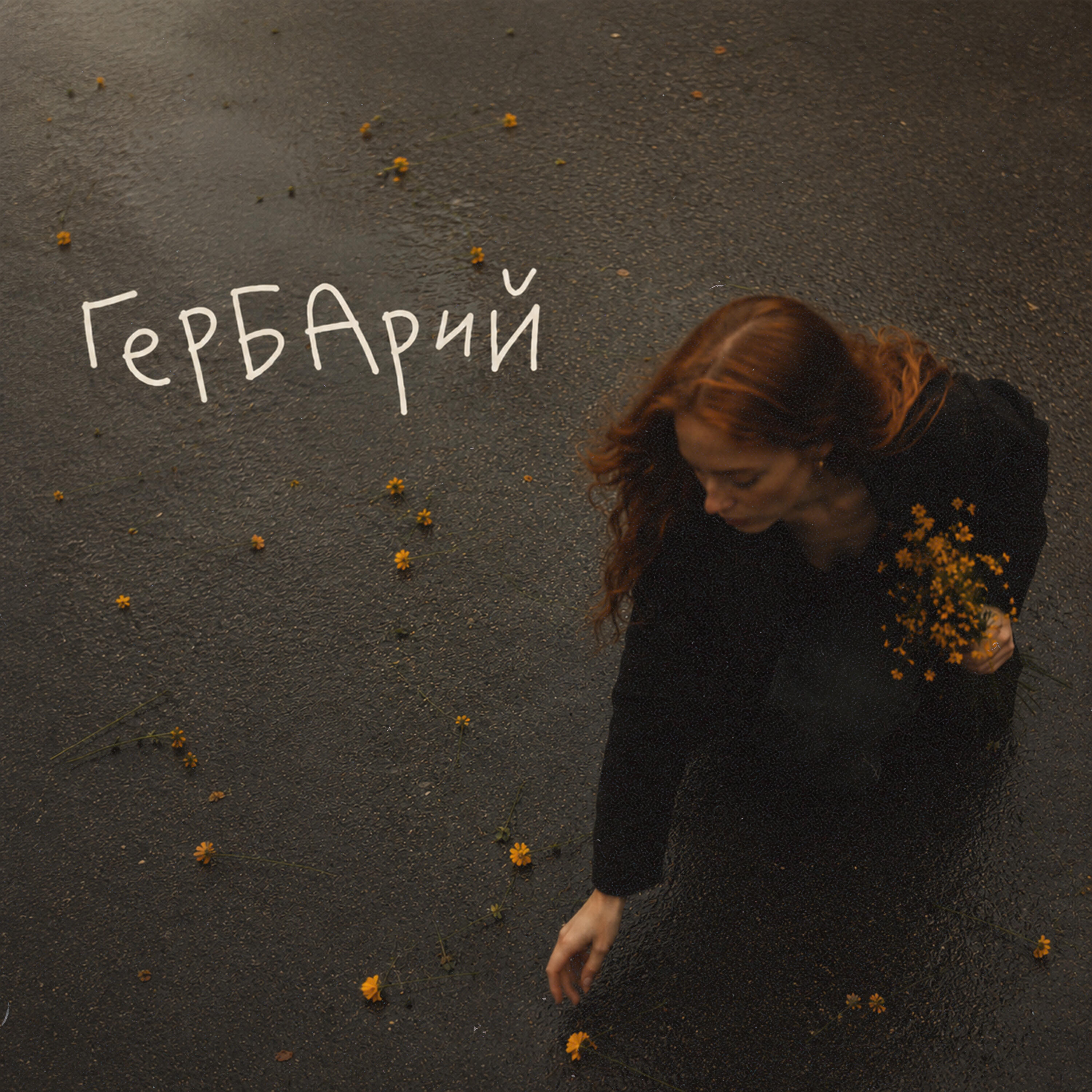 Релиз гербарий